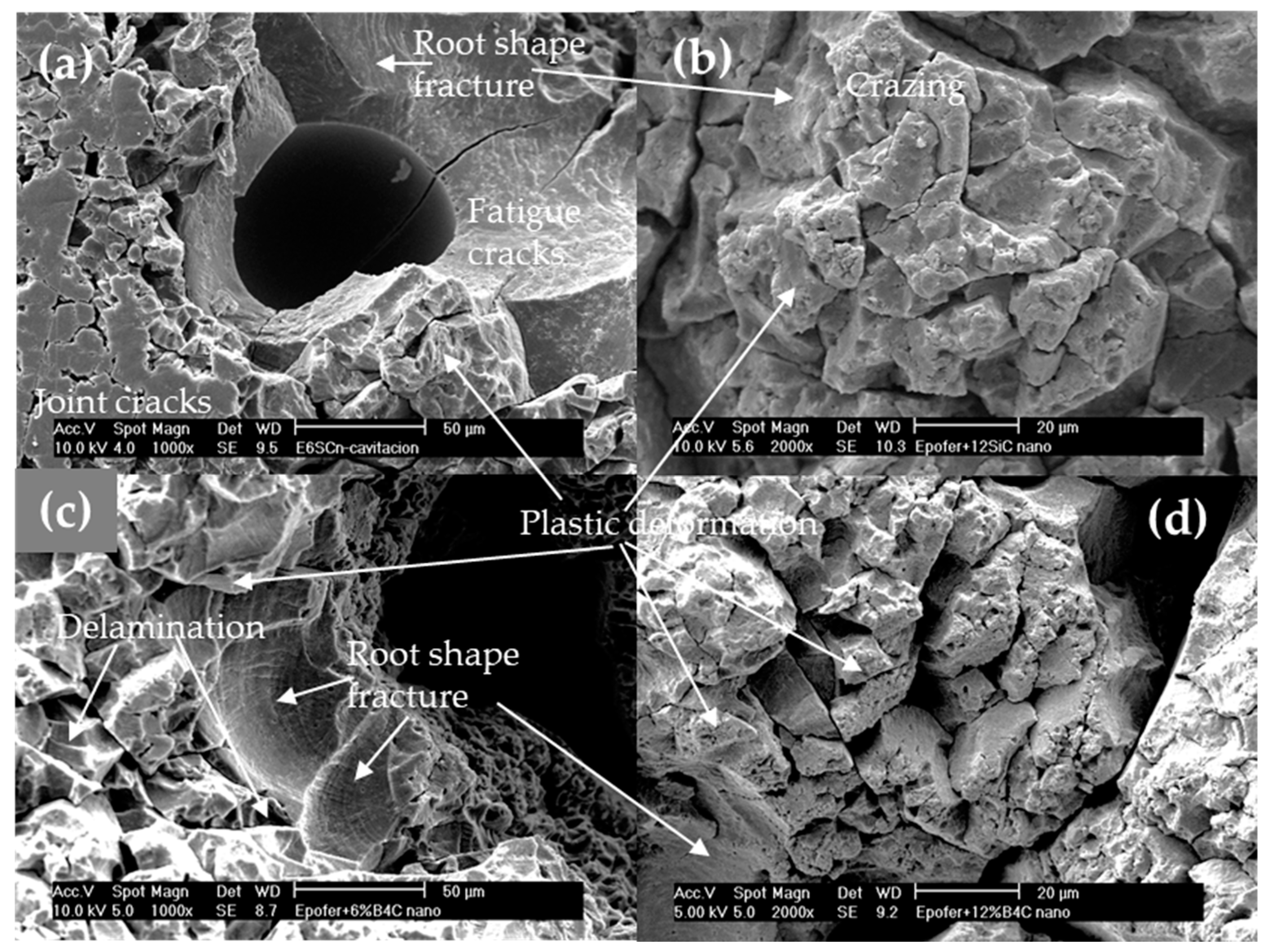 Polymers 16 00878 g012
