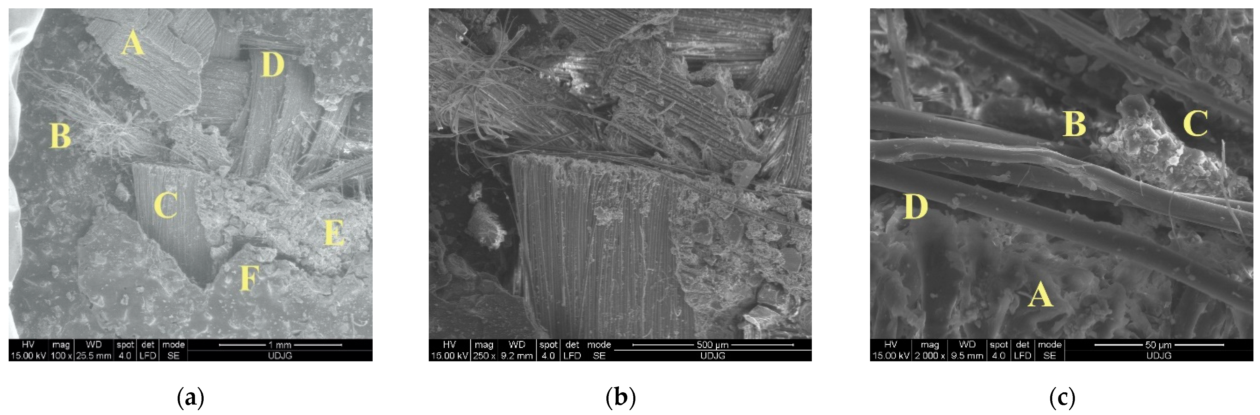 Polymers 16 00882 g022