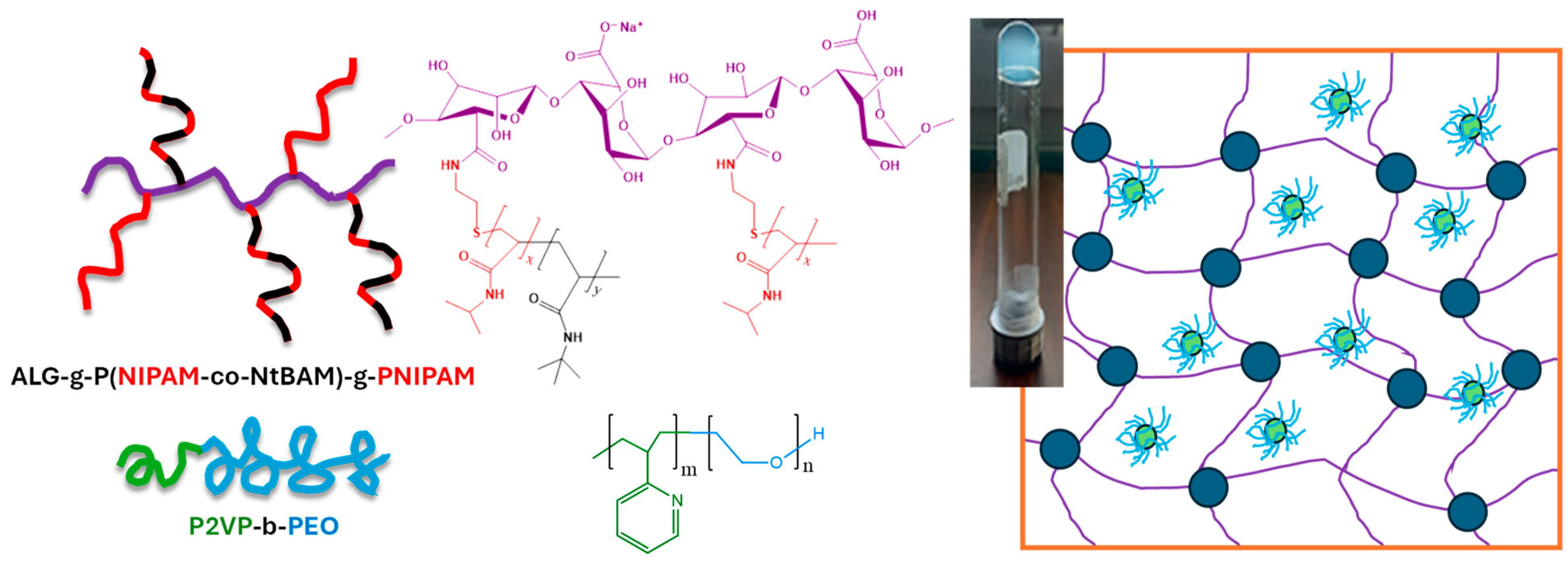 Polymers 16 00886 sch001