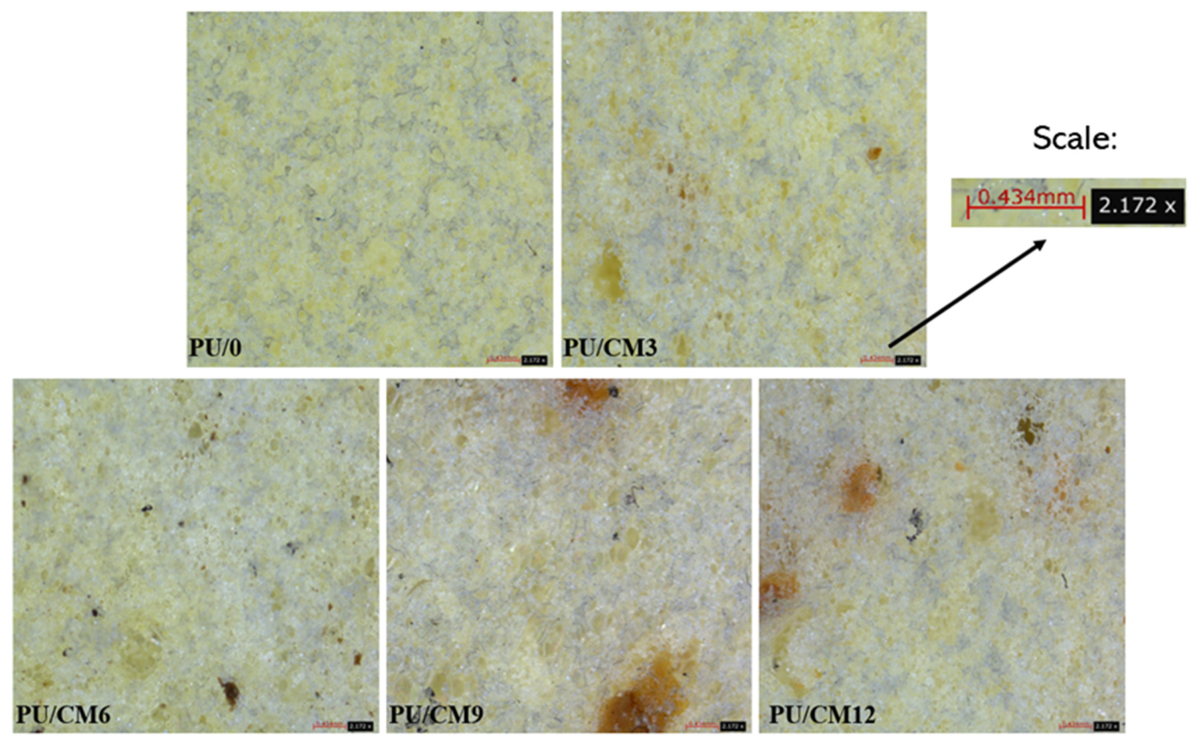 Polymers 16 00887 g003a