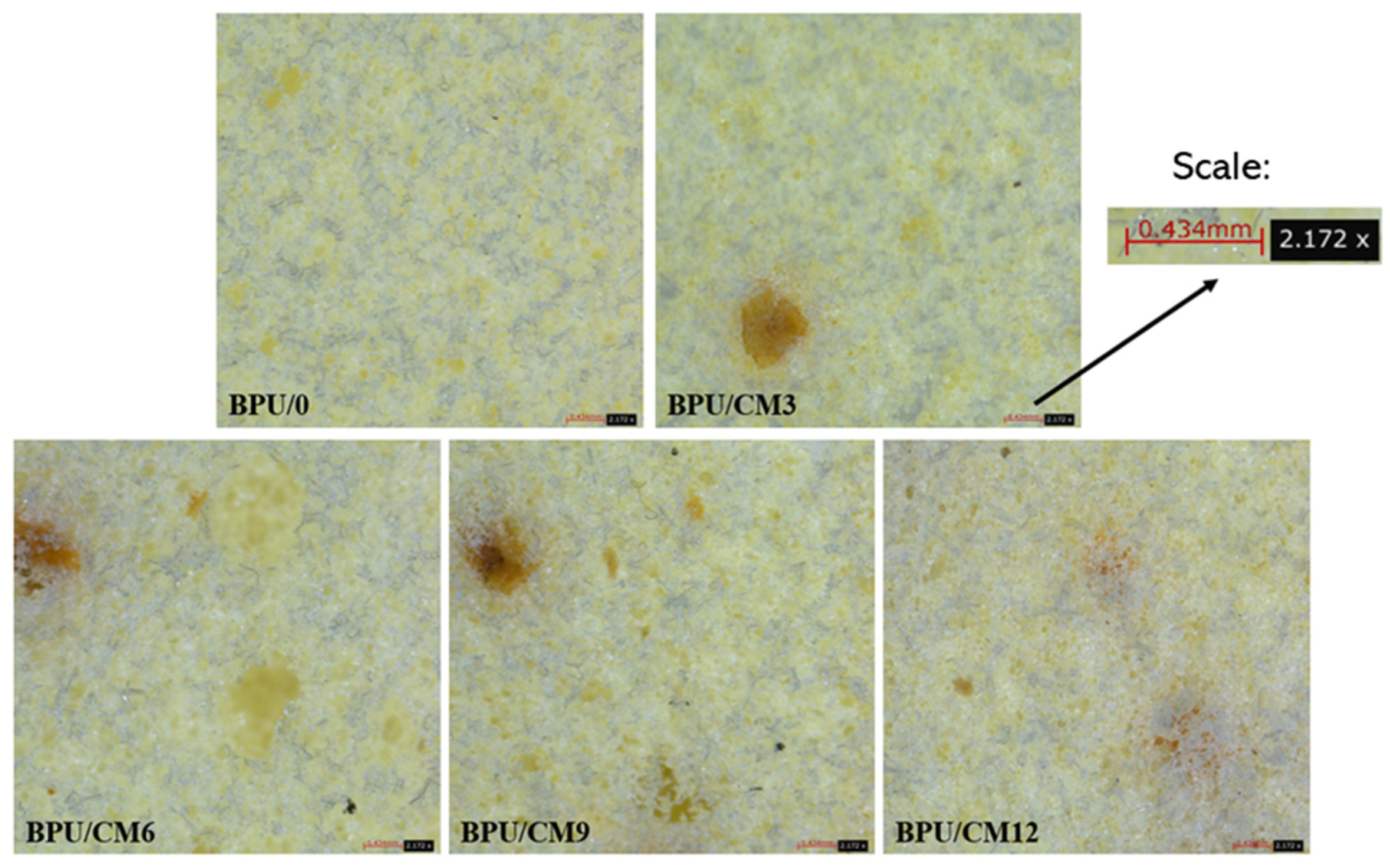 Polymers 16 00887 g003b