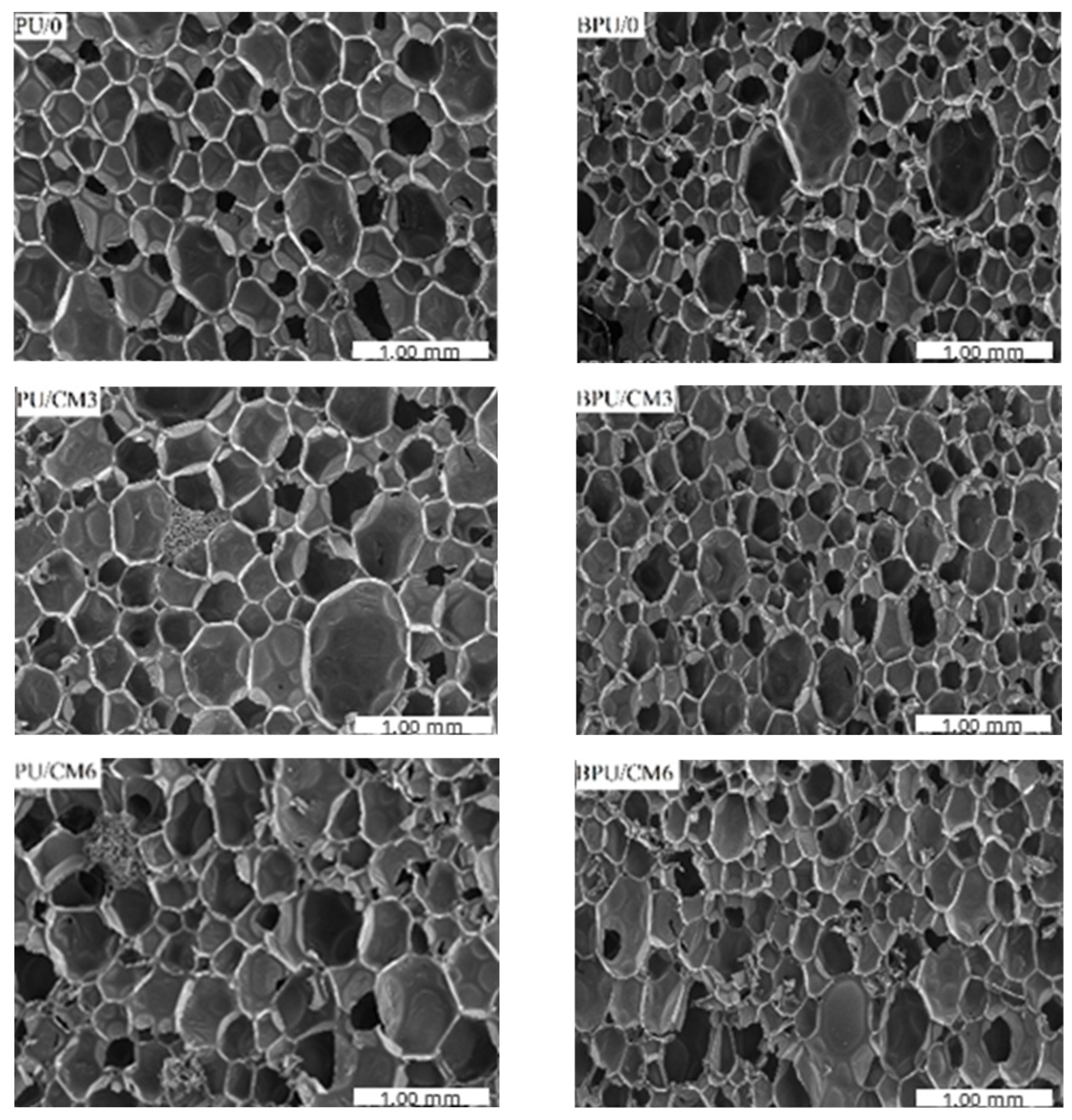 Polymers 16 00887 g004a