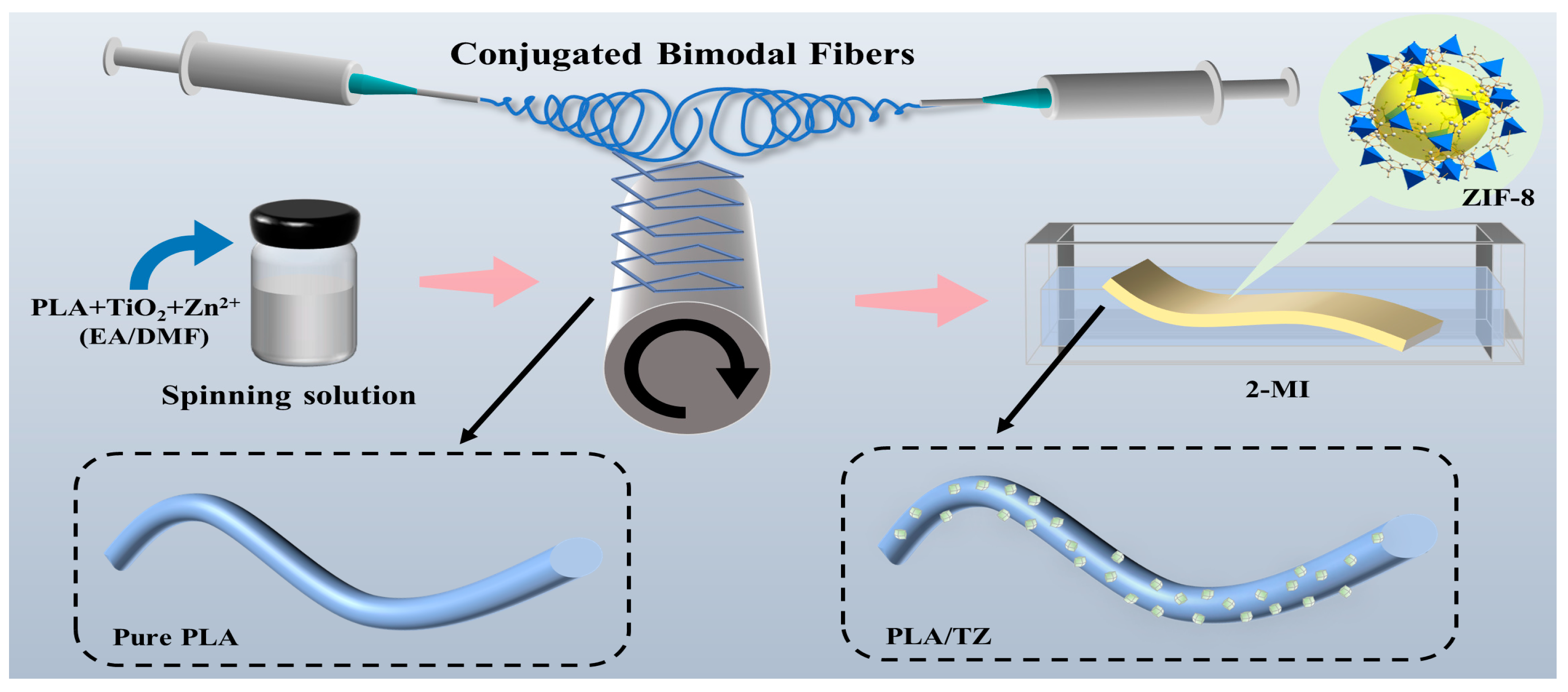Polymers 16 00889 g001