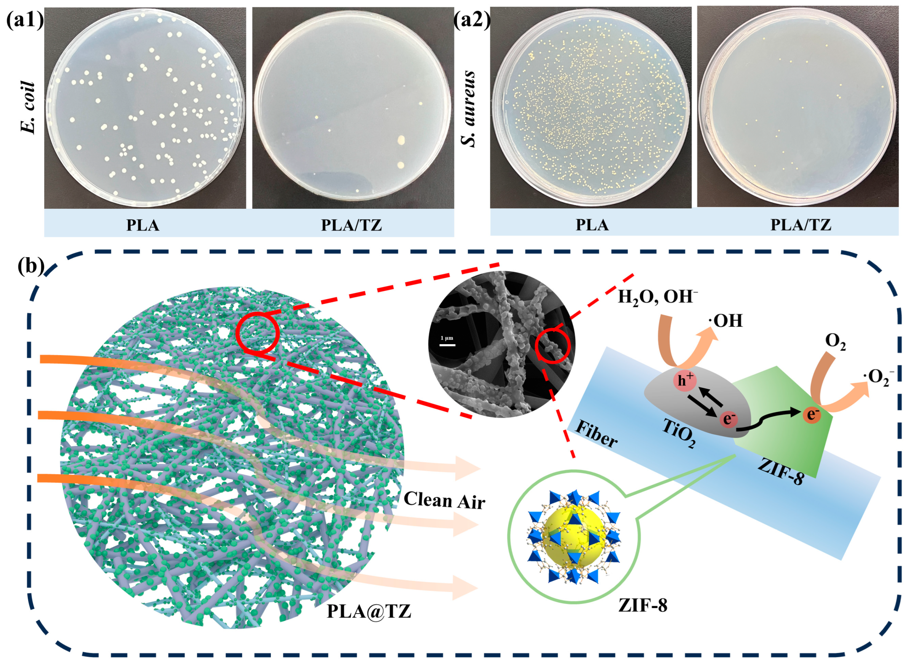 Polymers 16 00889 g007