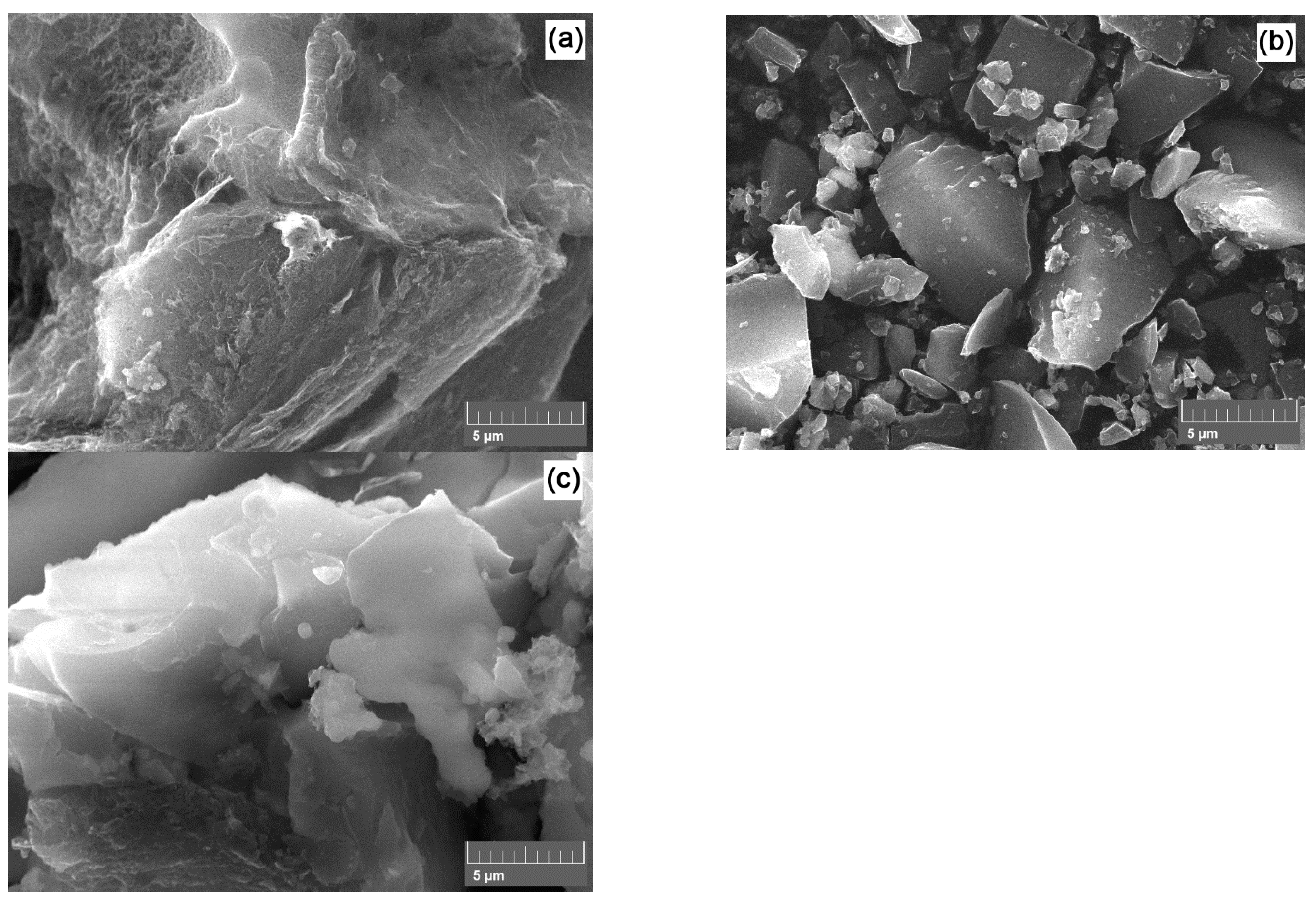 Polymers 16 00891 g004 Polymers 16 00891 g004