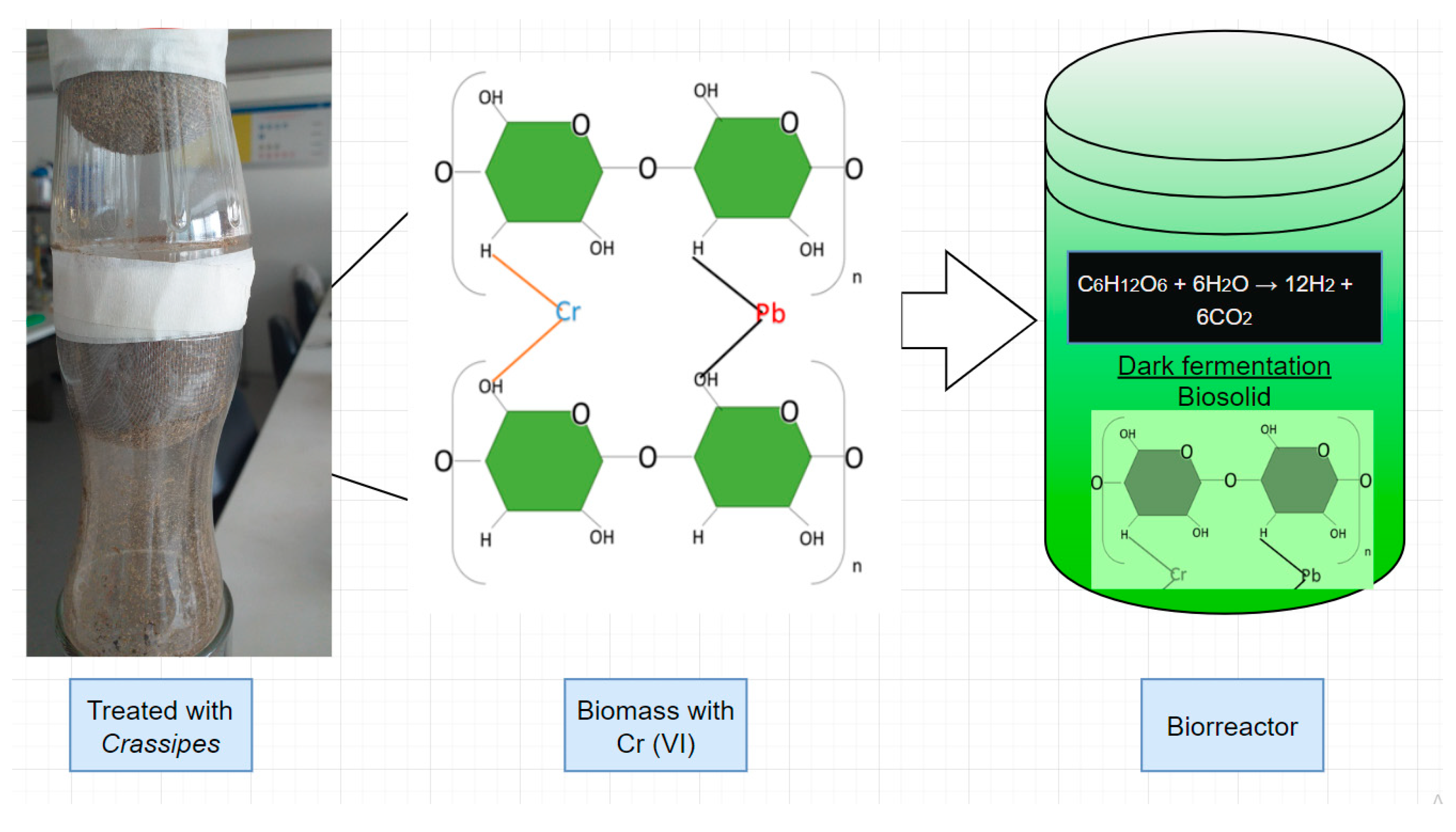 Polymers 16 00893 g002
