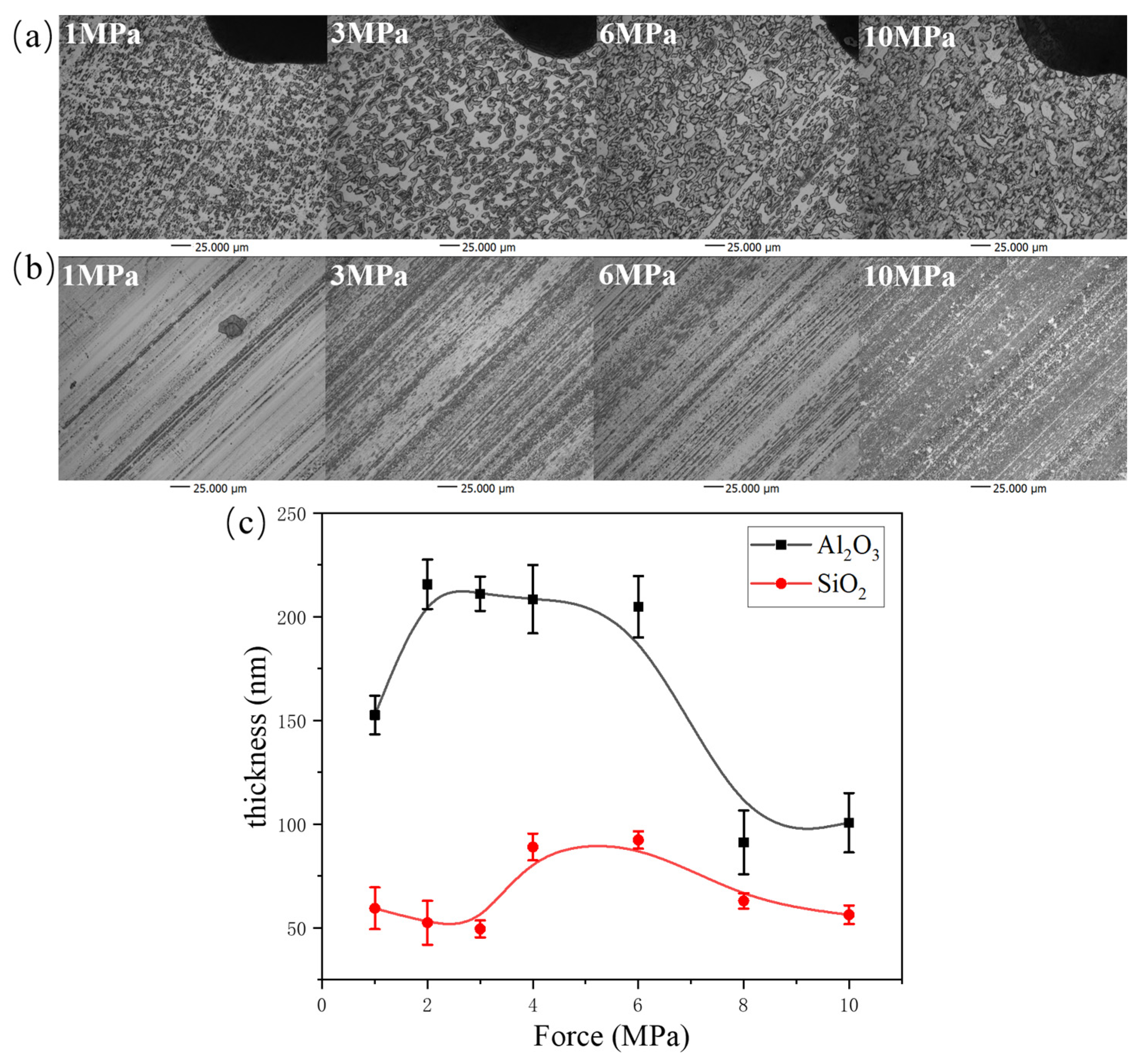 Polymers 16 00894 g003