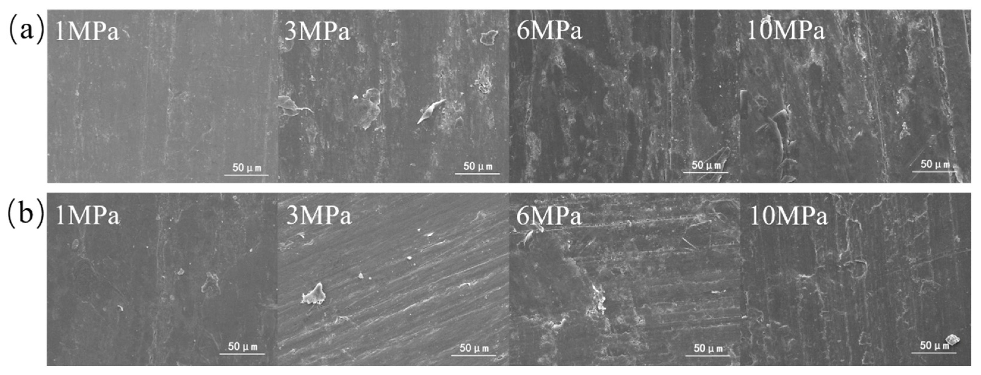 Polymers 16 00894 g004