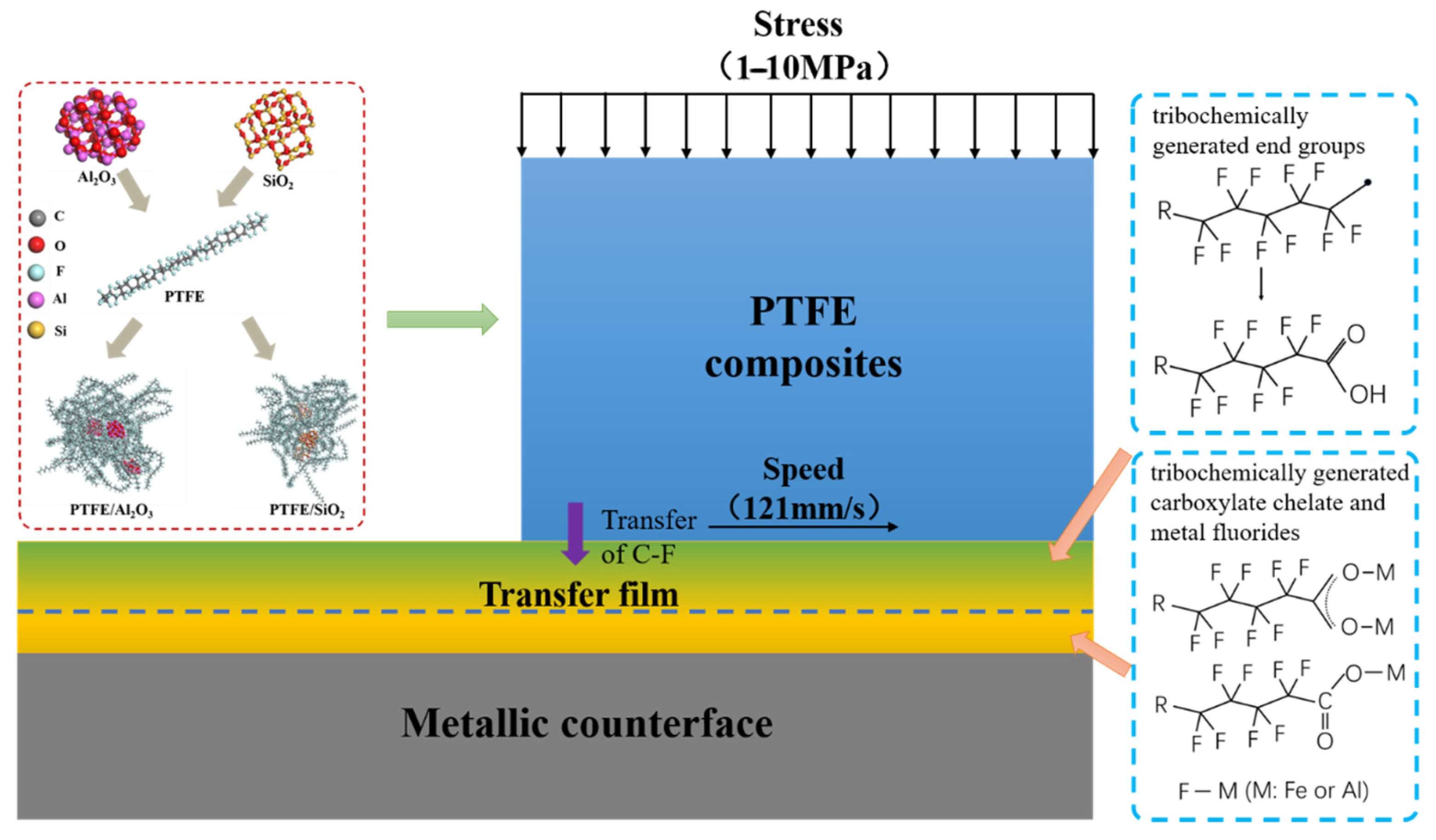 Polymers 16 00894 g010
