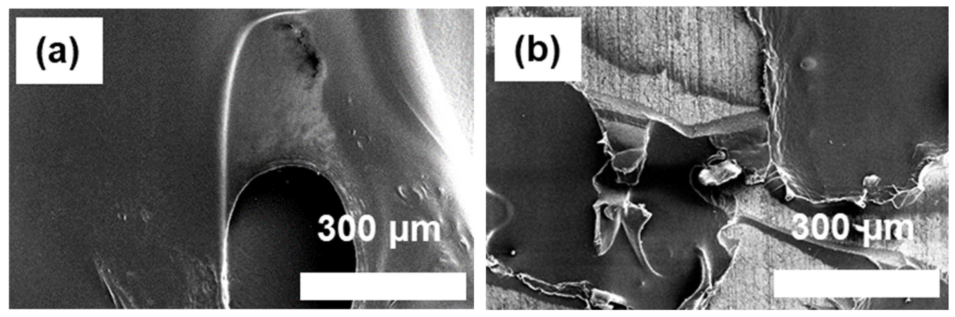 Polymers 16 00896 g010a