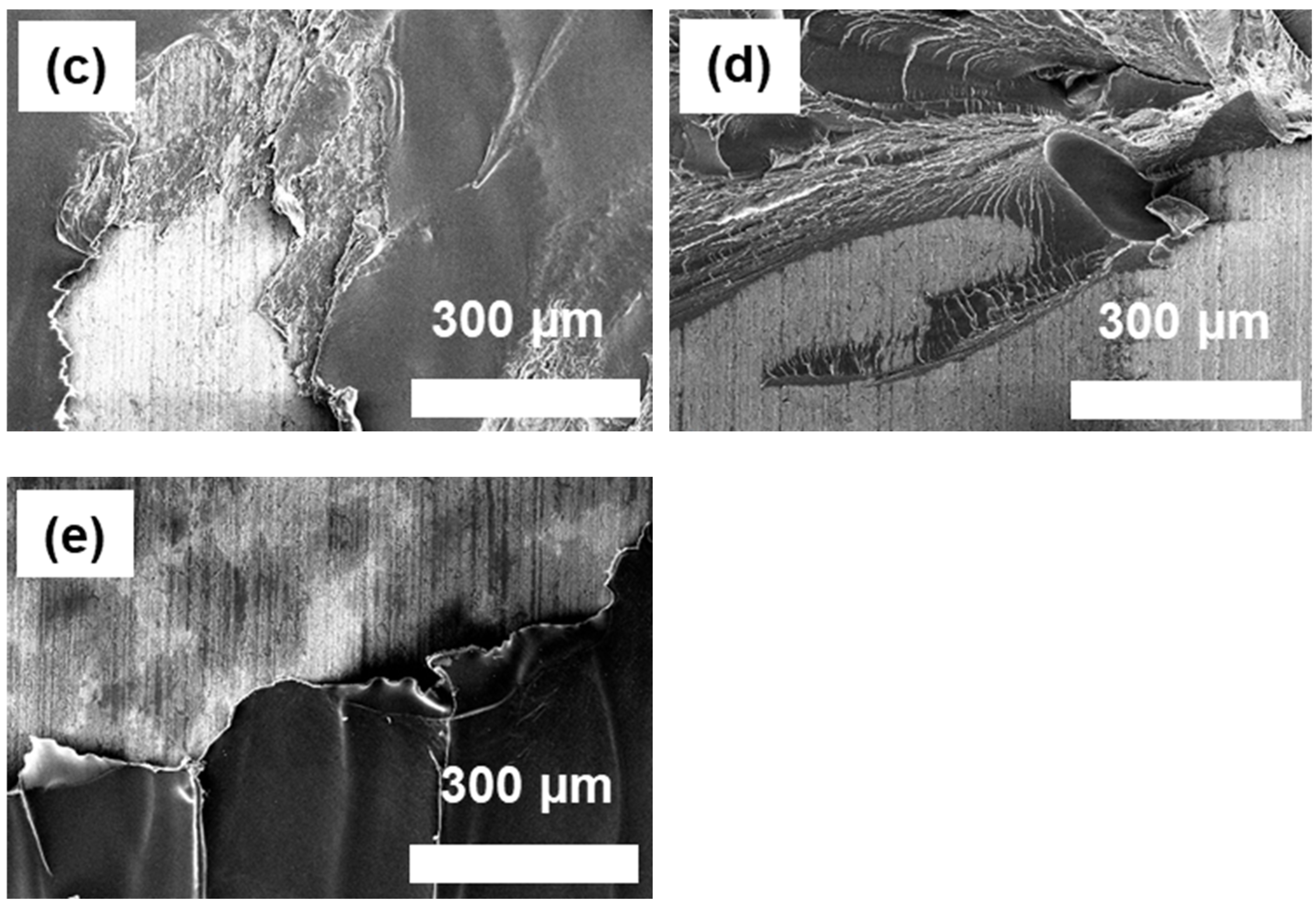 Polymers 16 00896 g010b