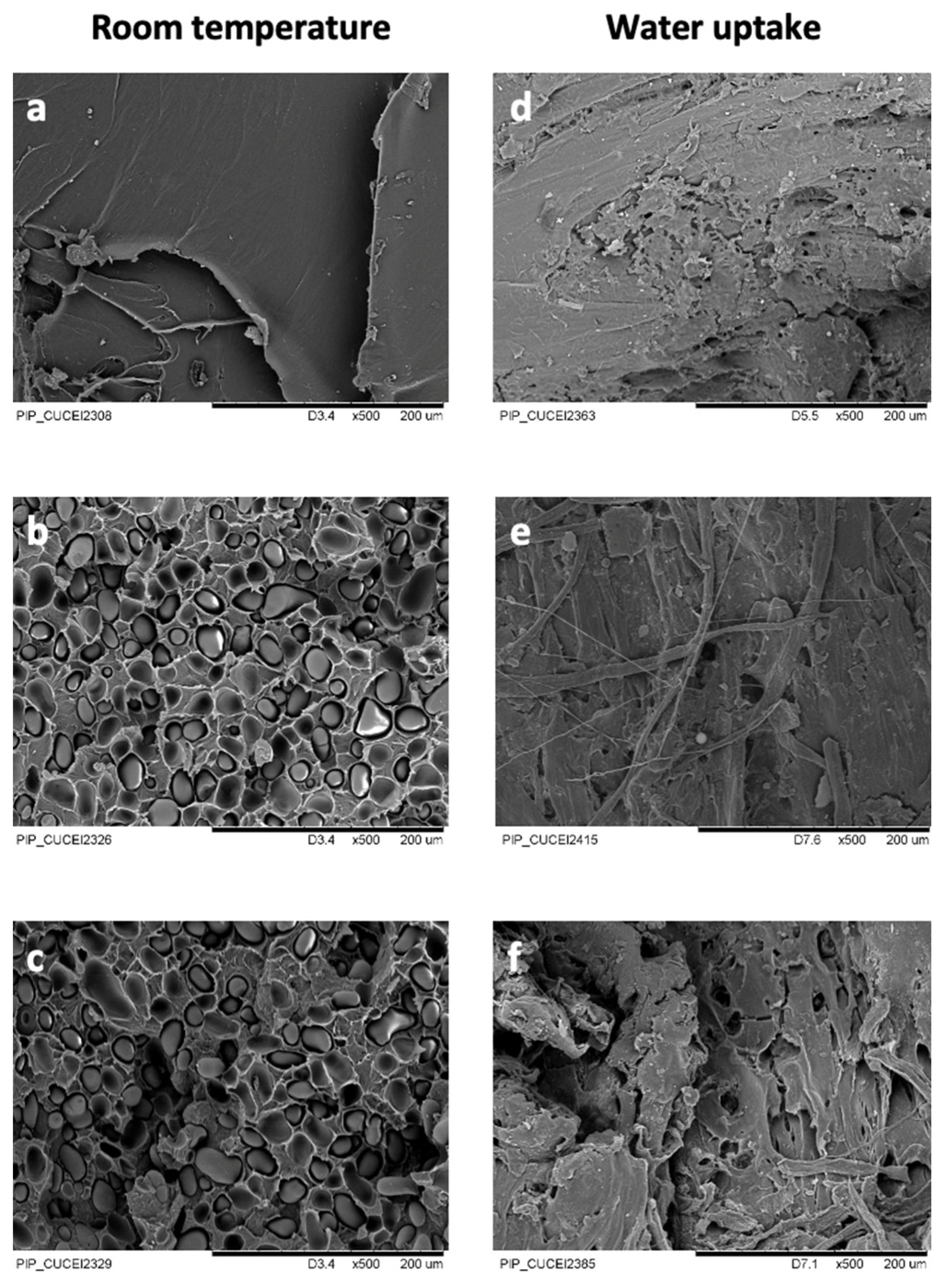 Polymers 16 00899 g006