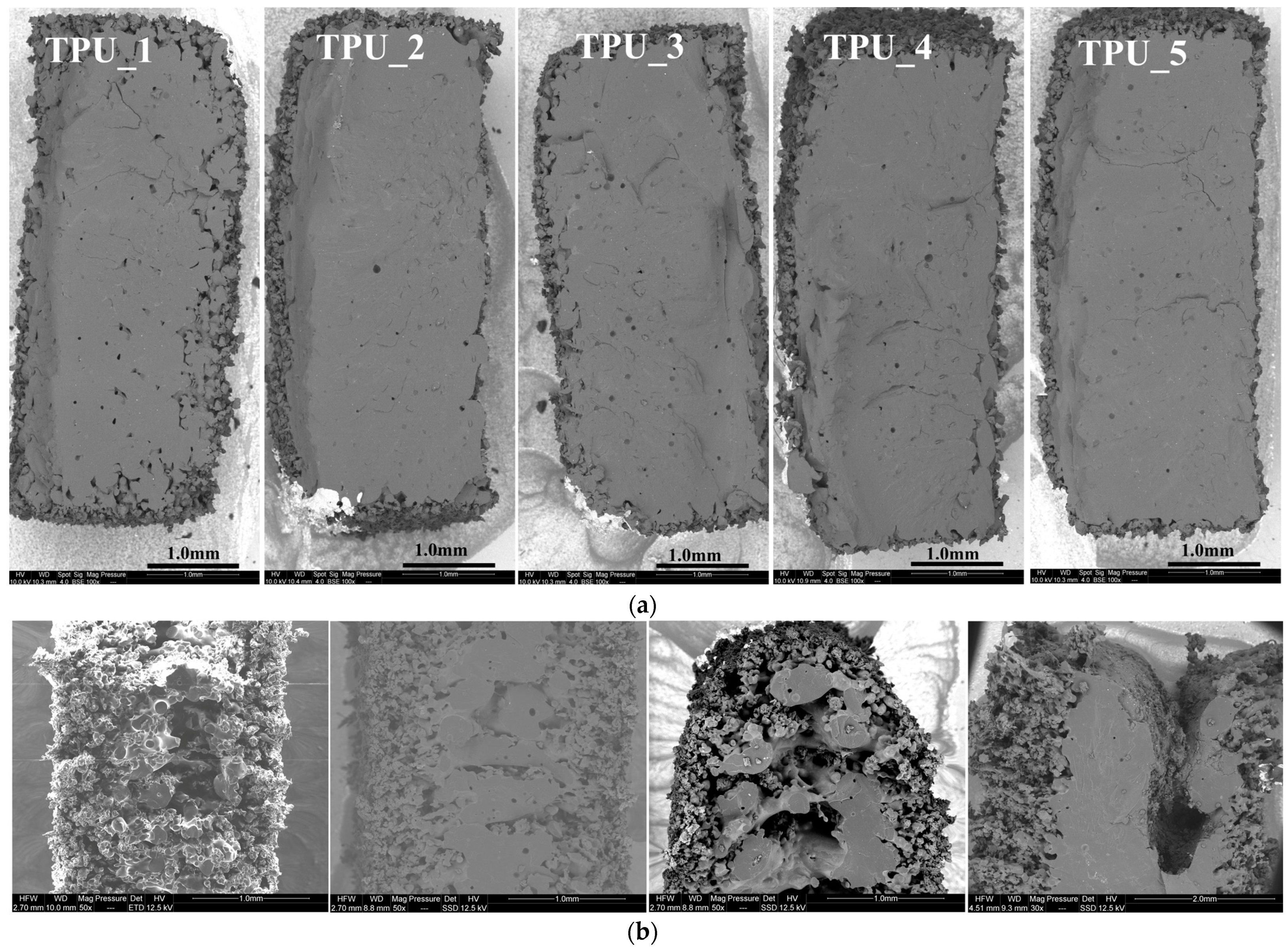 Polymers 16 00900 g005