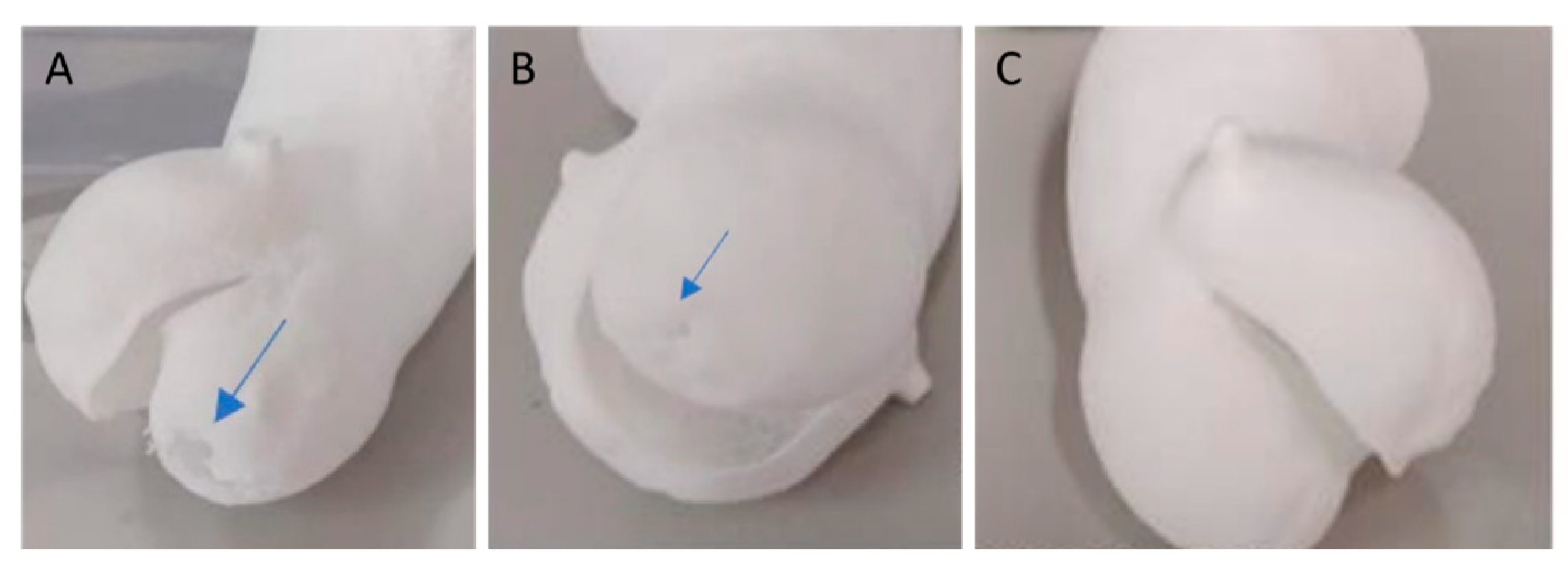 Polymers 16 00900 g006