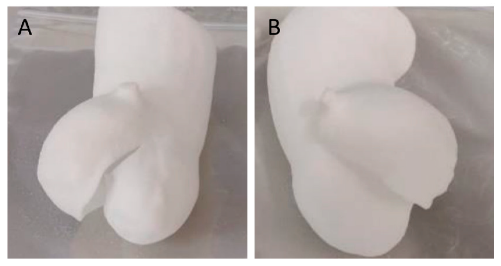 Polymers 16 00900 g007