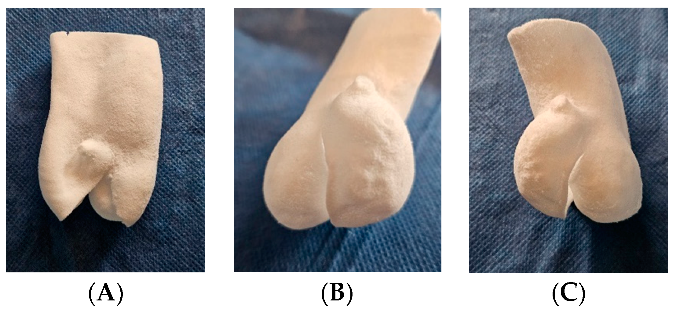 Polymers 16 00900 g008