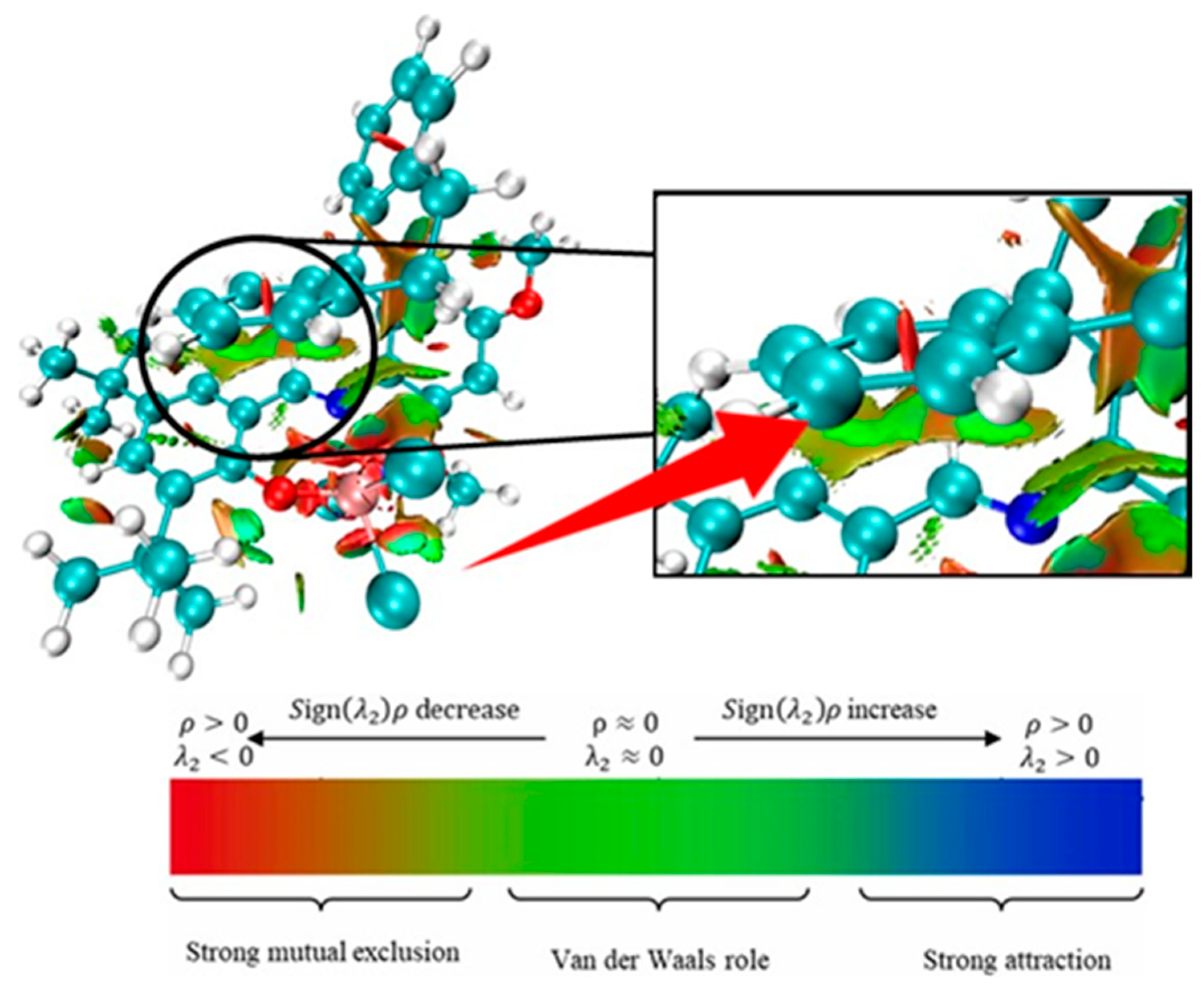 Polymers 16 00902 g012