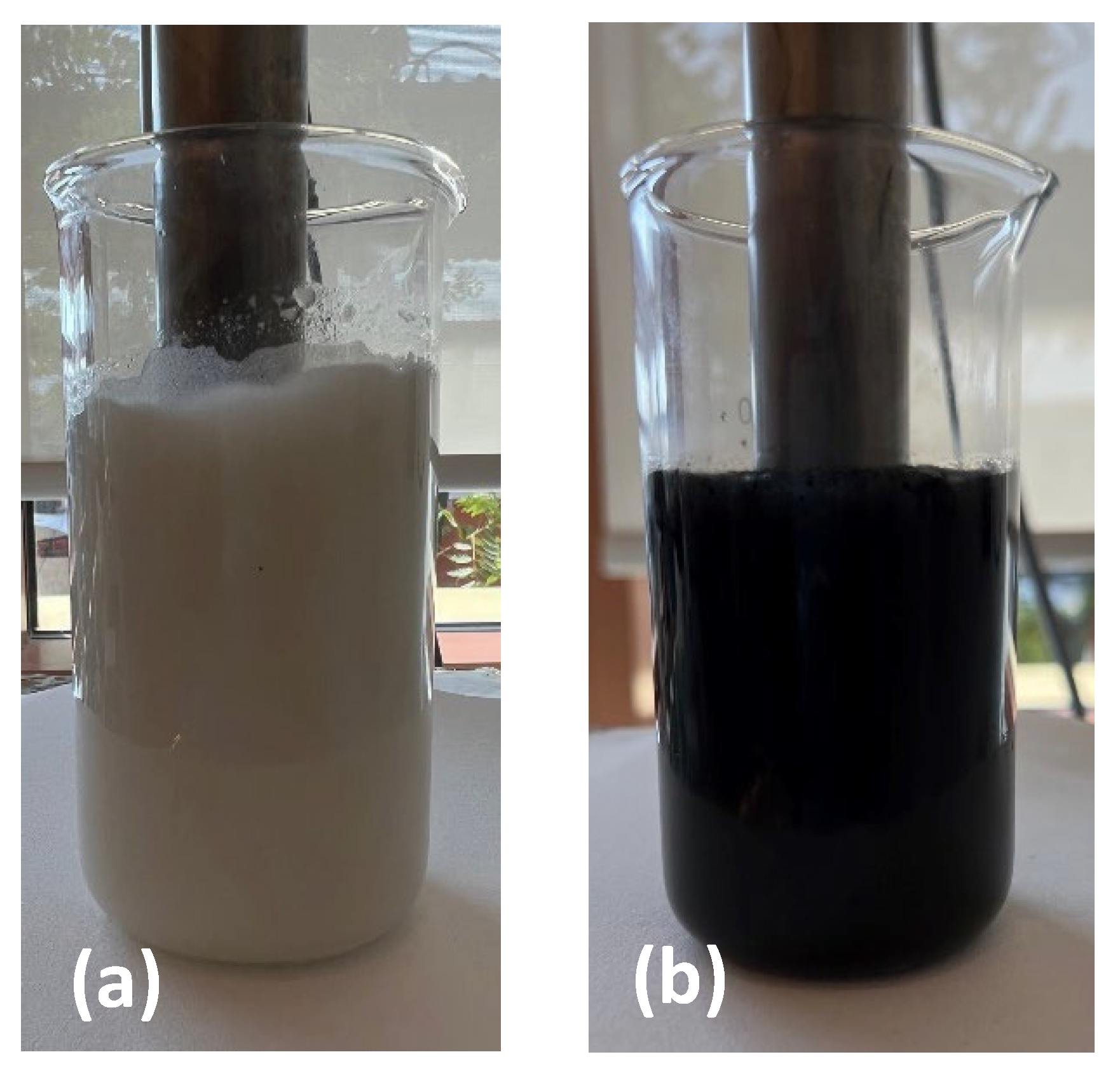 Polymers 16 00909 g004