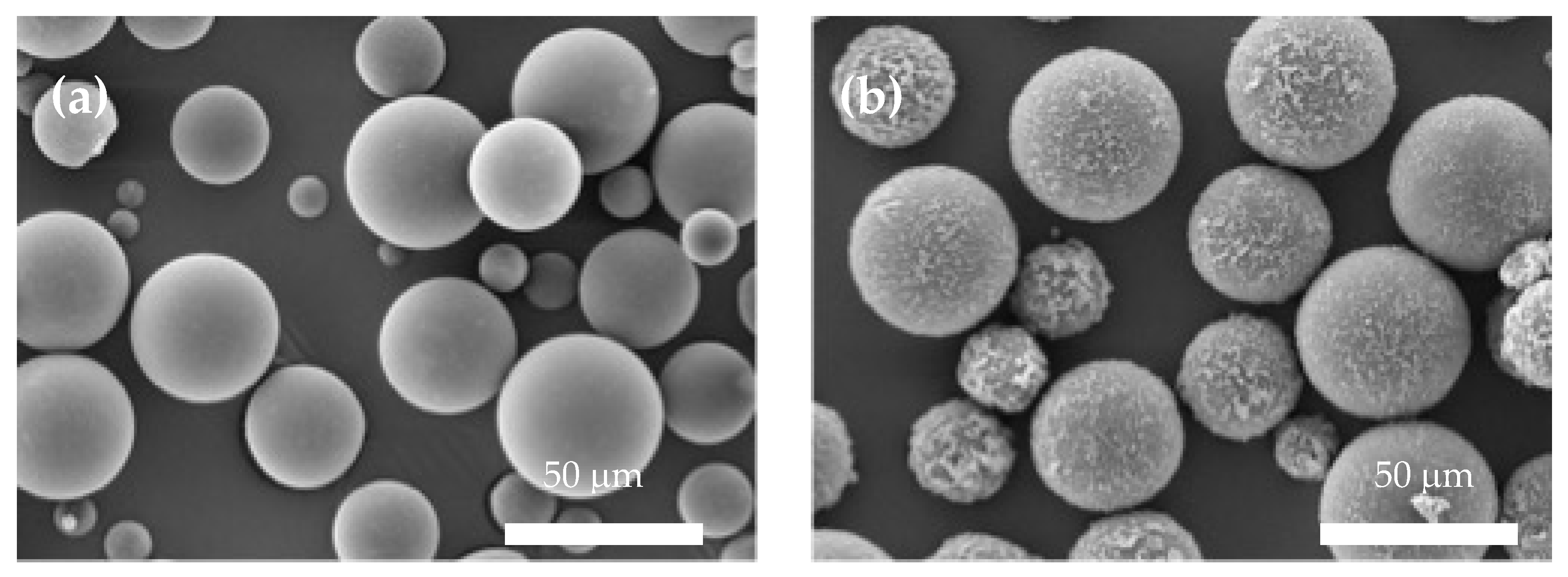Polymers 16 00909 g006