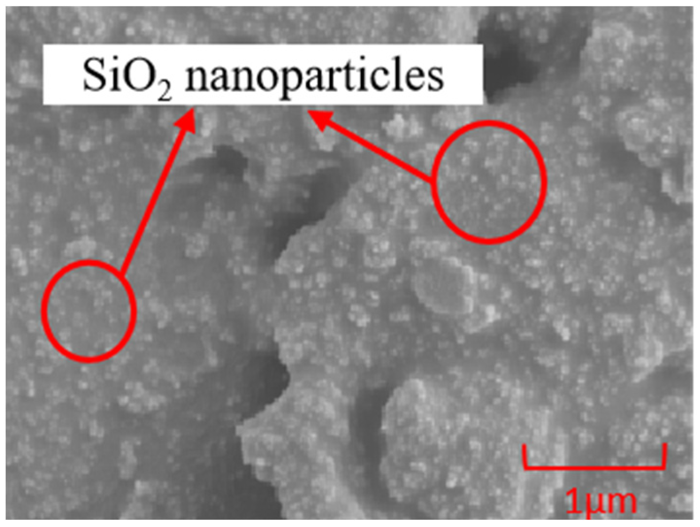Polymers 16 00912 g001