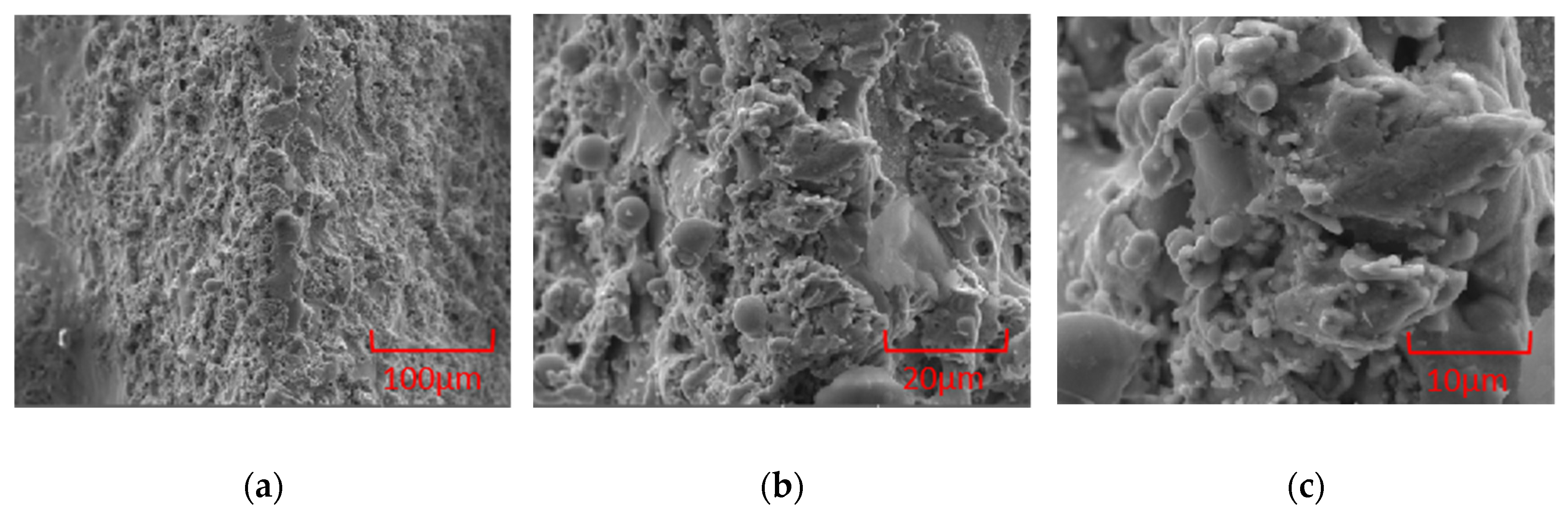 Polymers 16 00912 g007