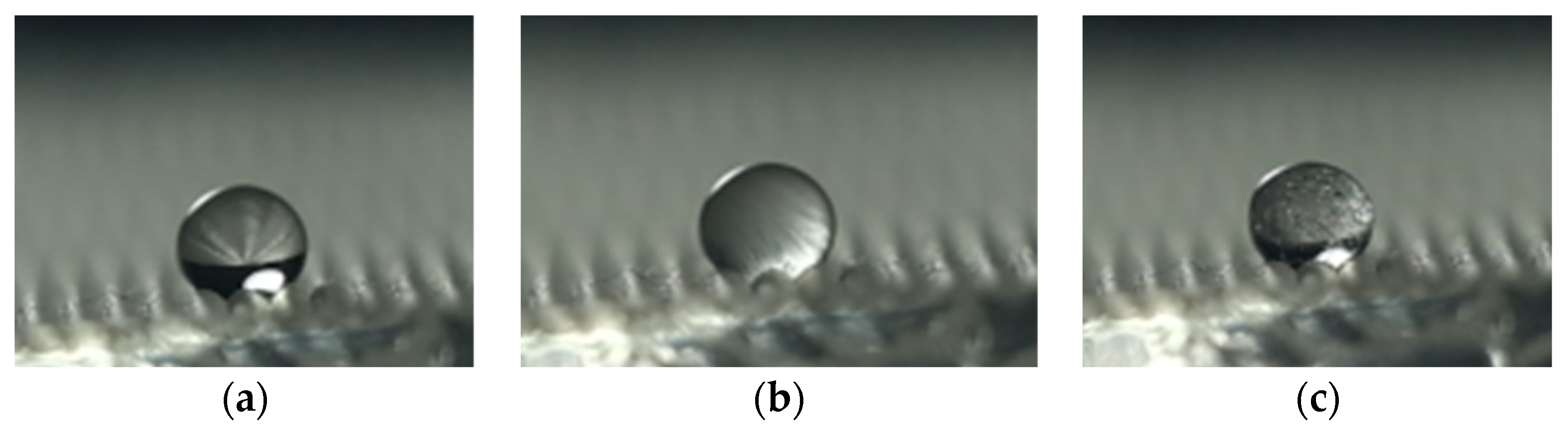 Polymers 16 00912 g027