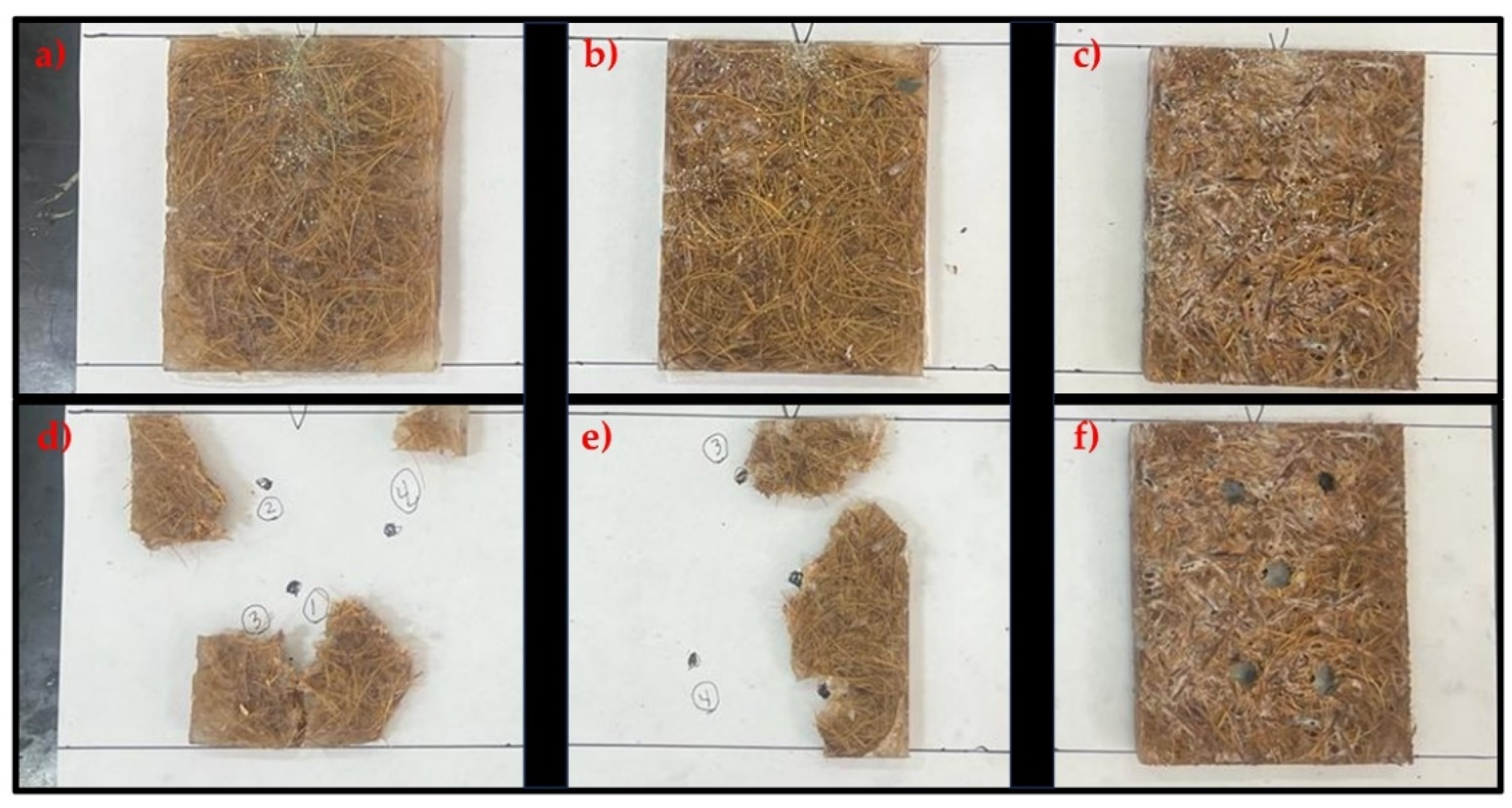 Polymers 16 00913 g004