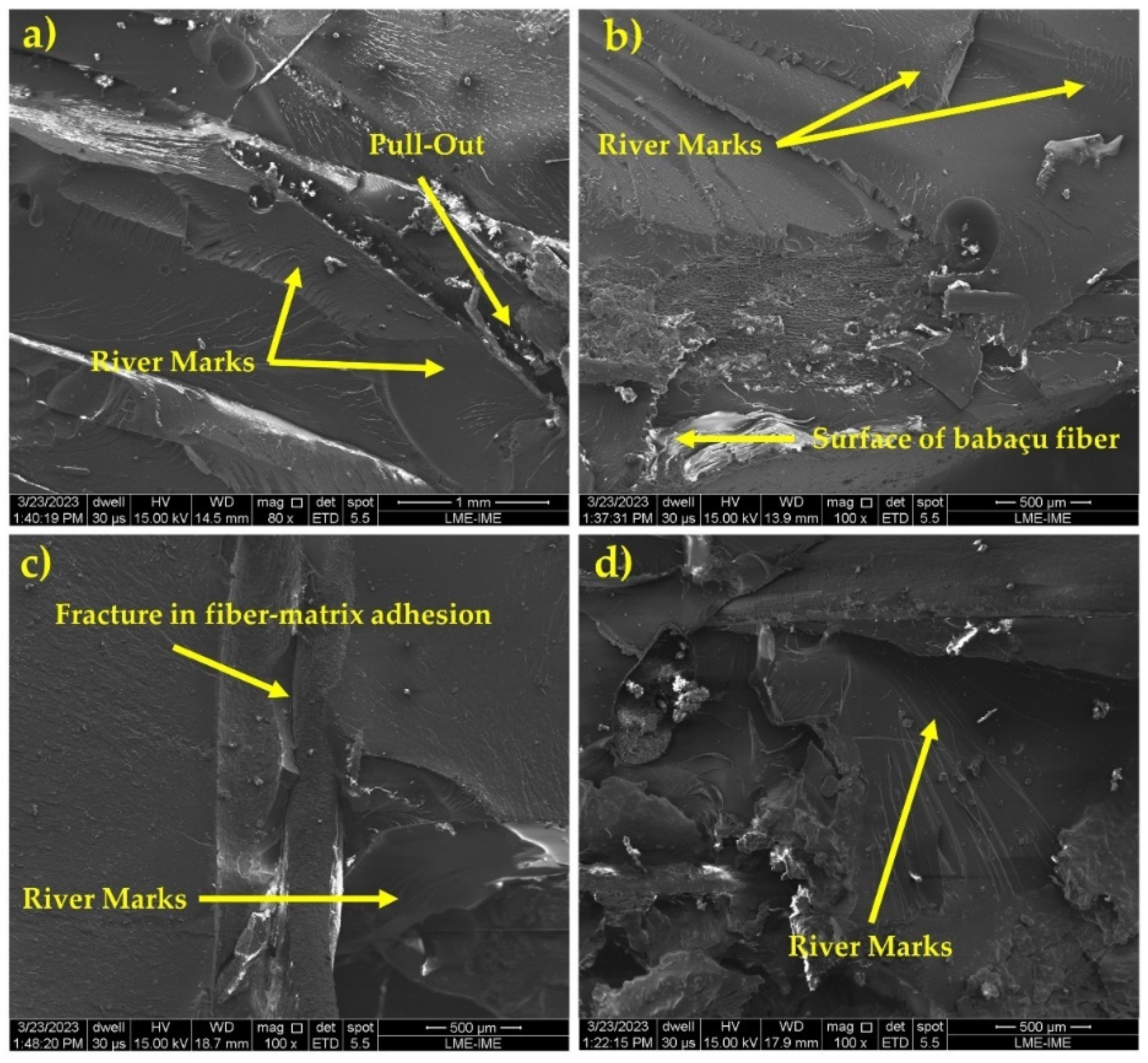 Polymers 16 00913 g005