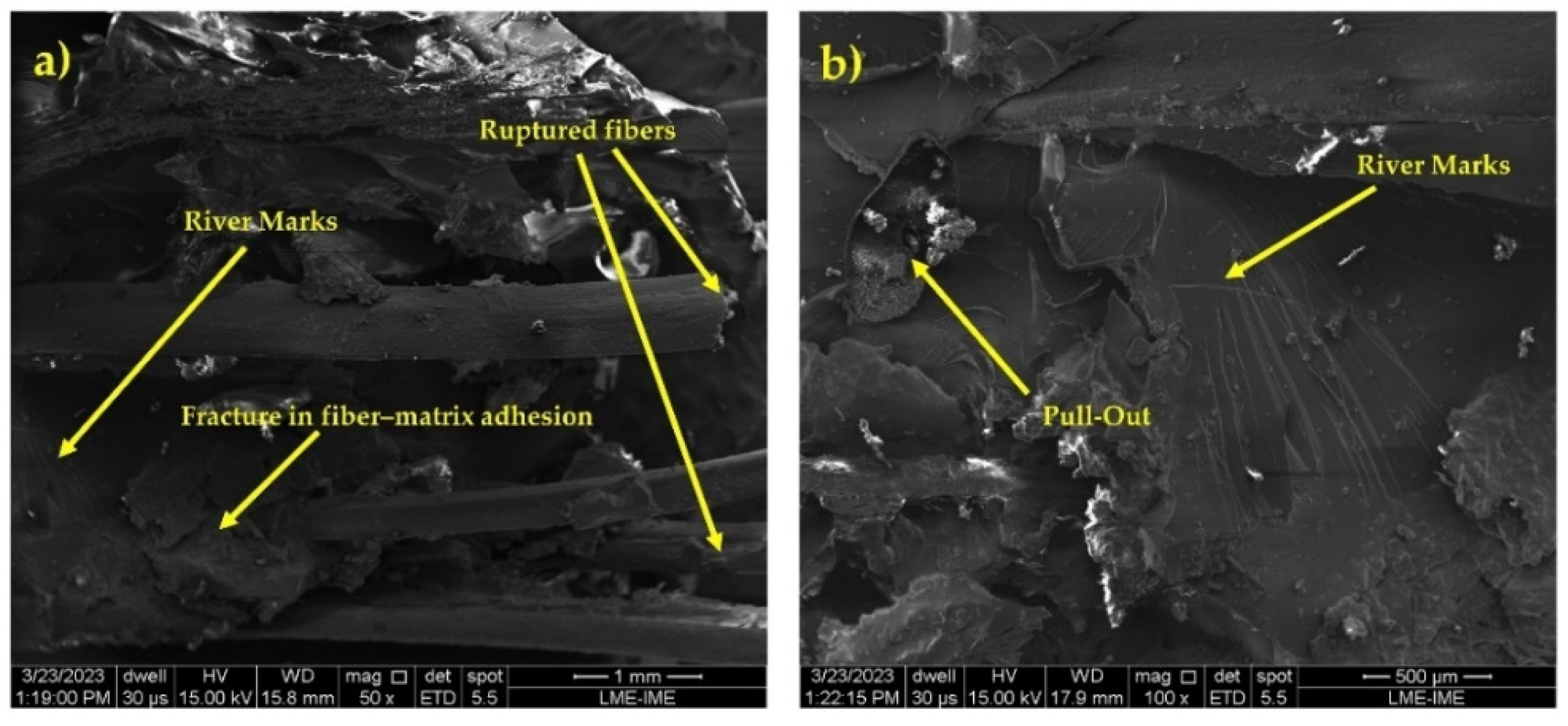 Polymers 16 00913 g009