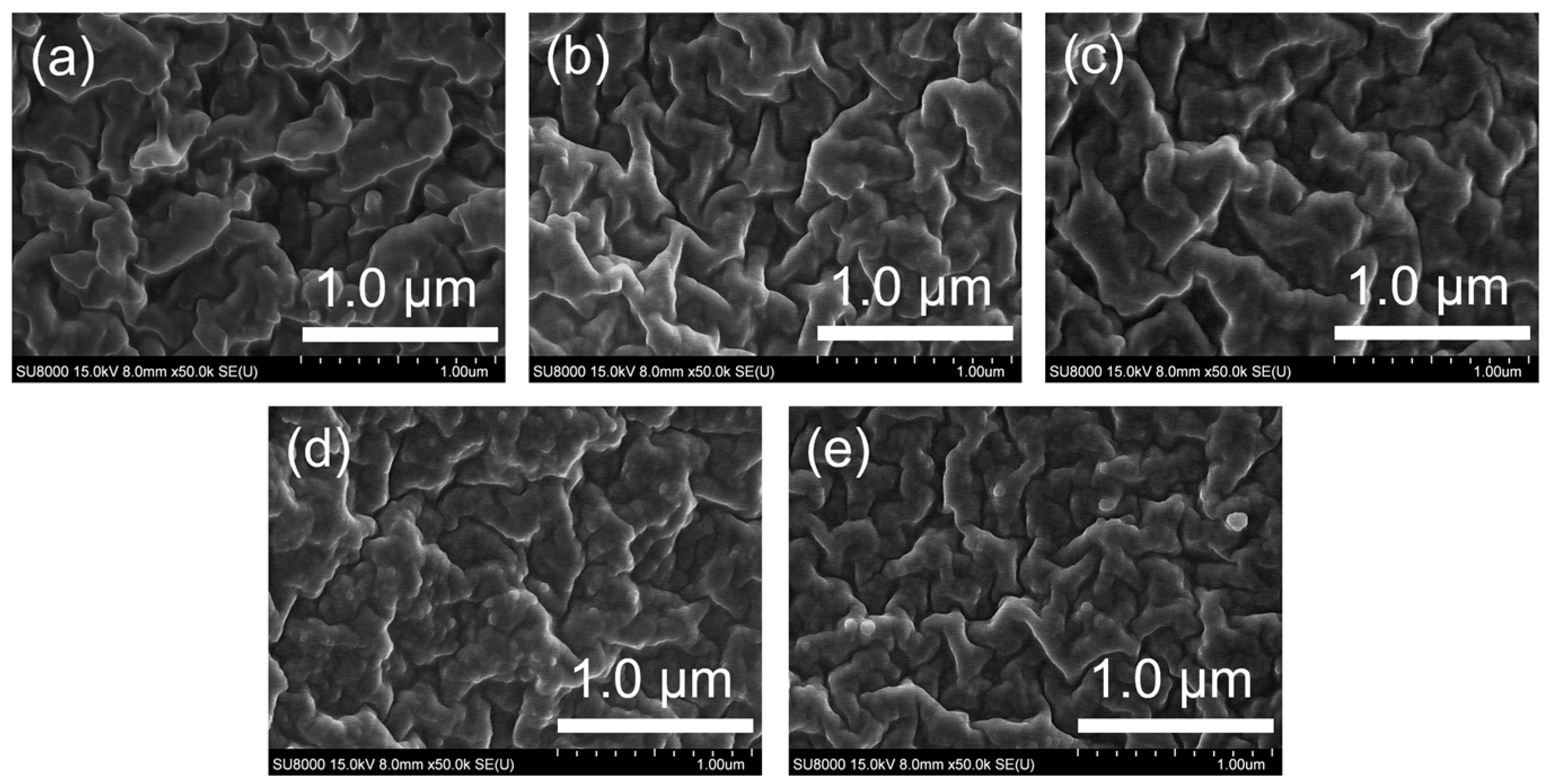 Polymers 16 00914 g009 Polymers 16 00914 g009