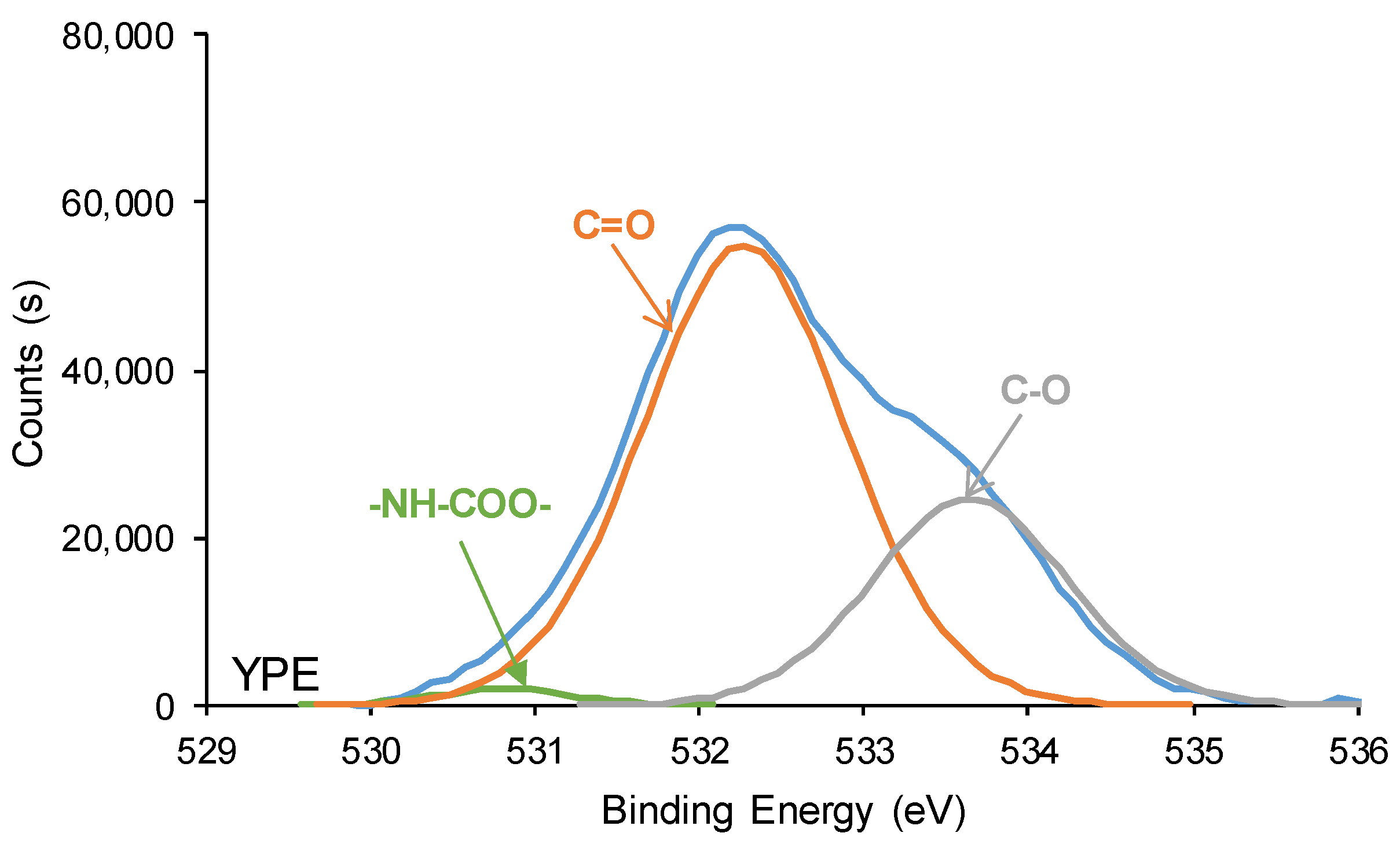 Polymers 16 00924 g017b