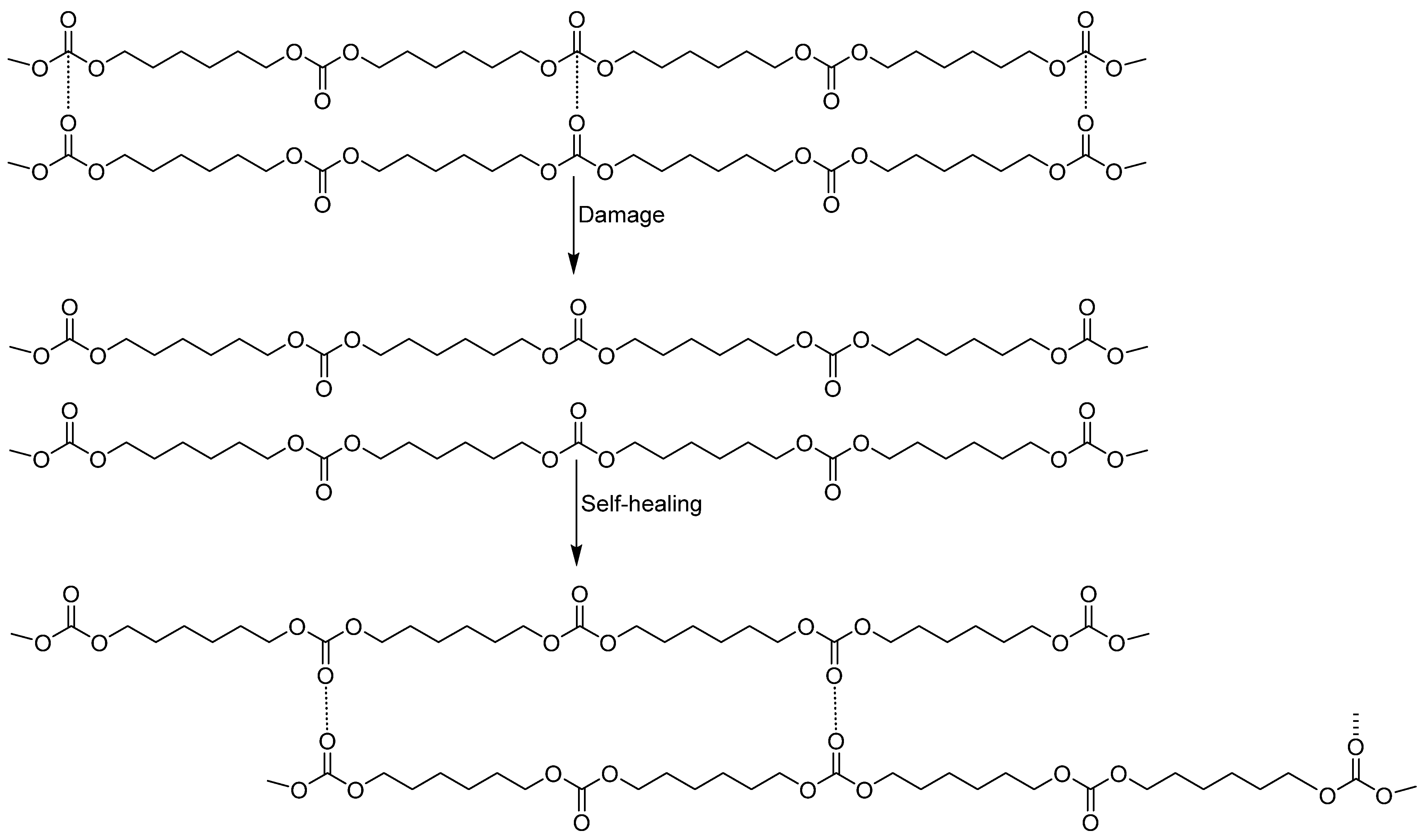 Polymers 16 00924 g020