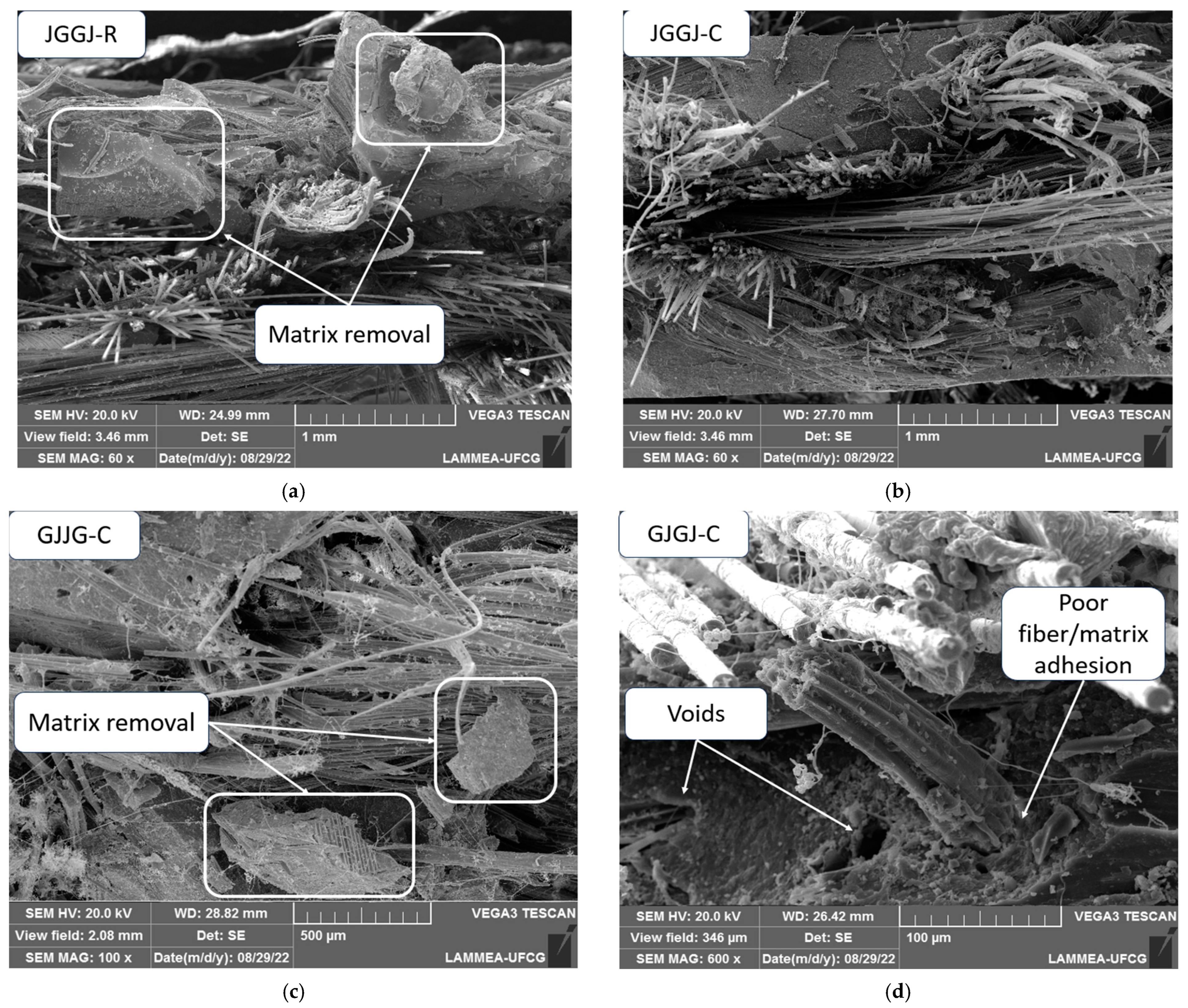 Polymers 16 00925 g011