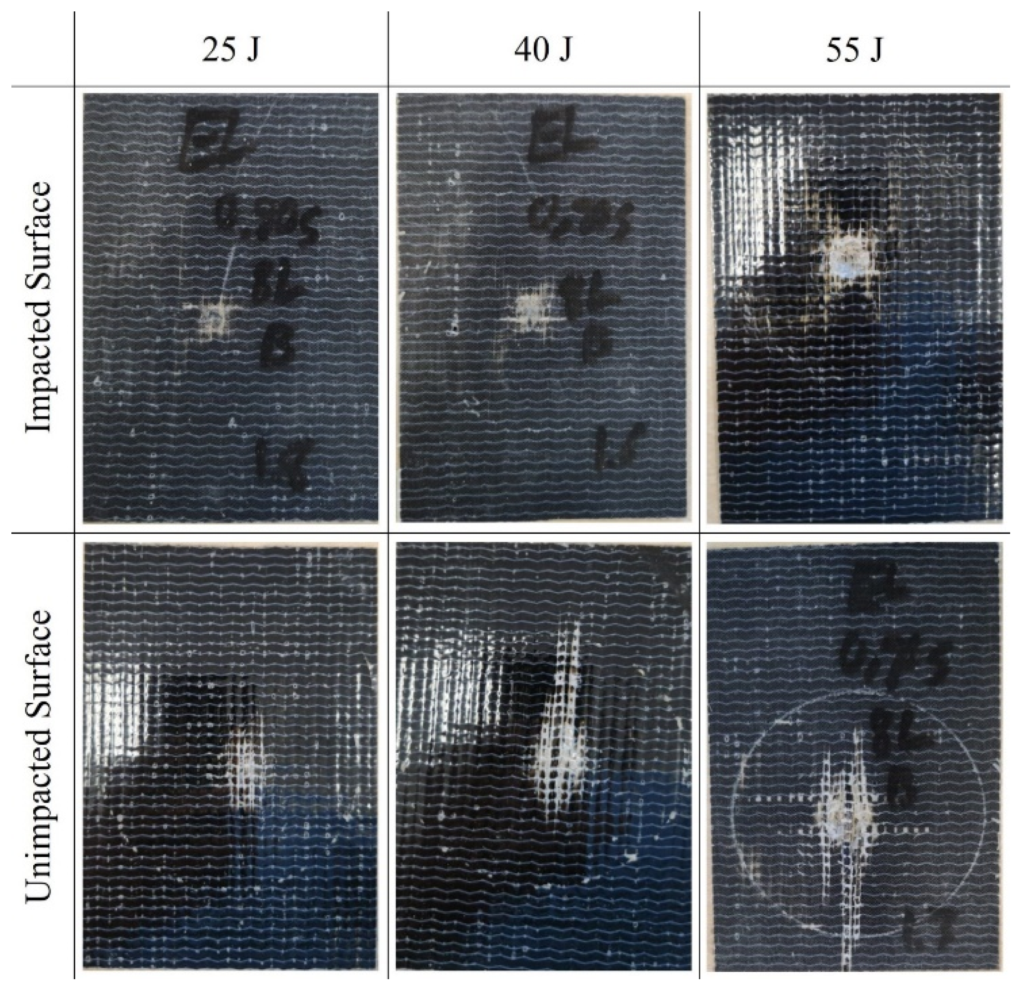 Polymers 16 00926 g006