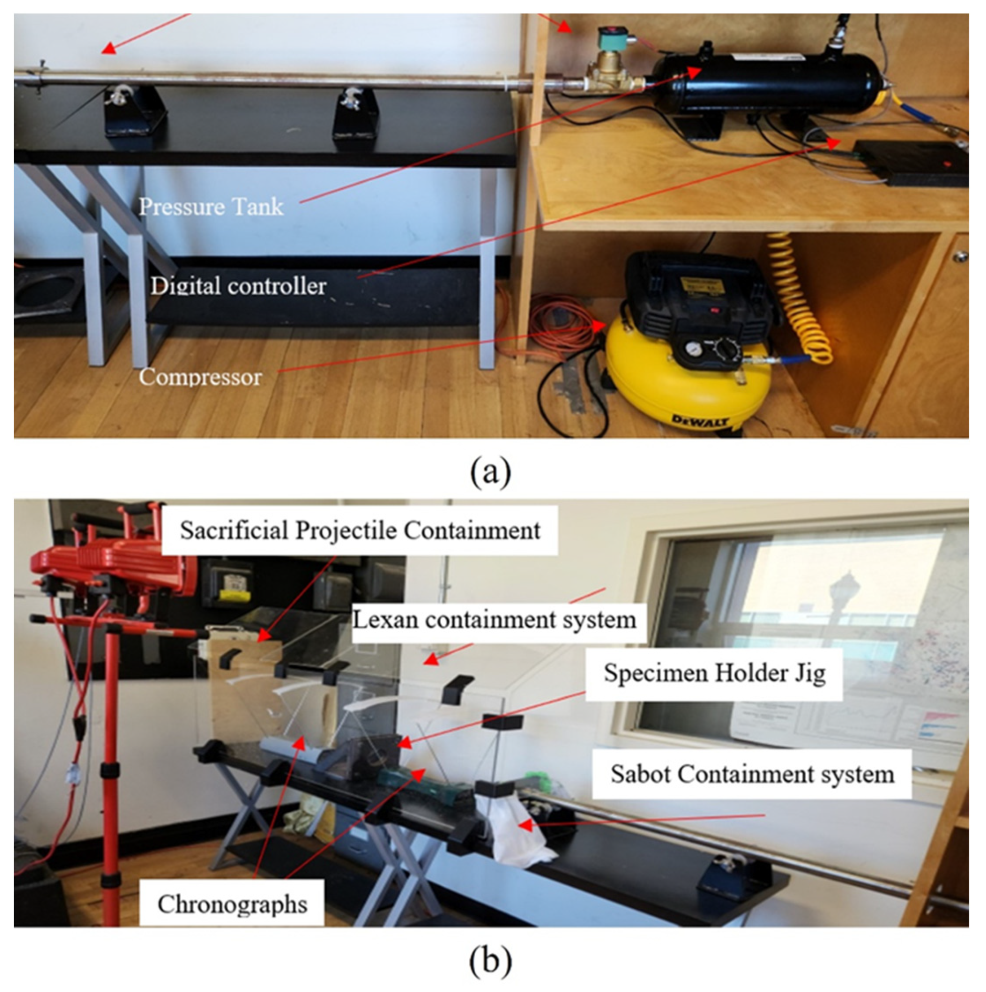 Polymers 16 00926 g008