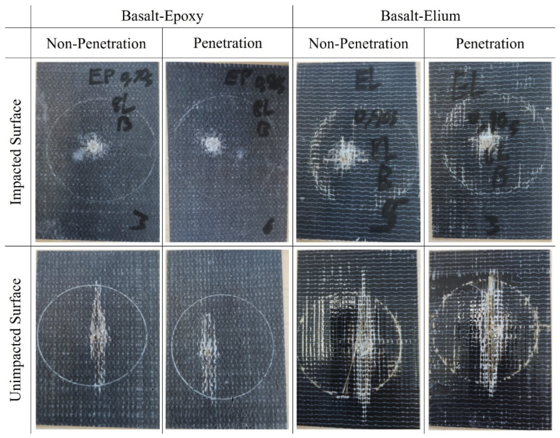 Polymers 16 00926 g010