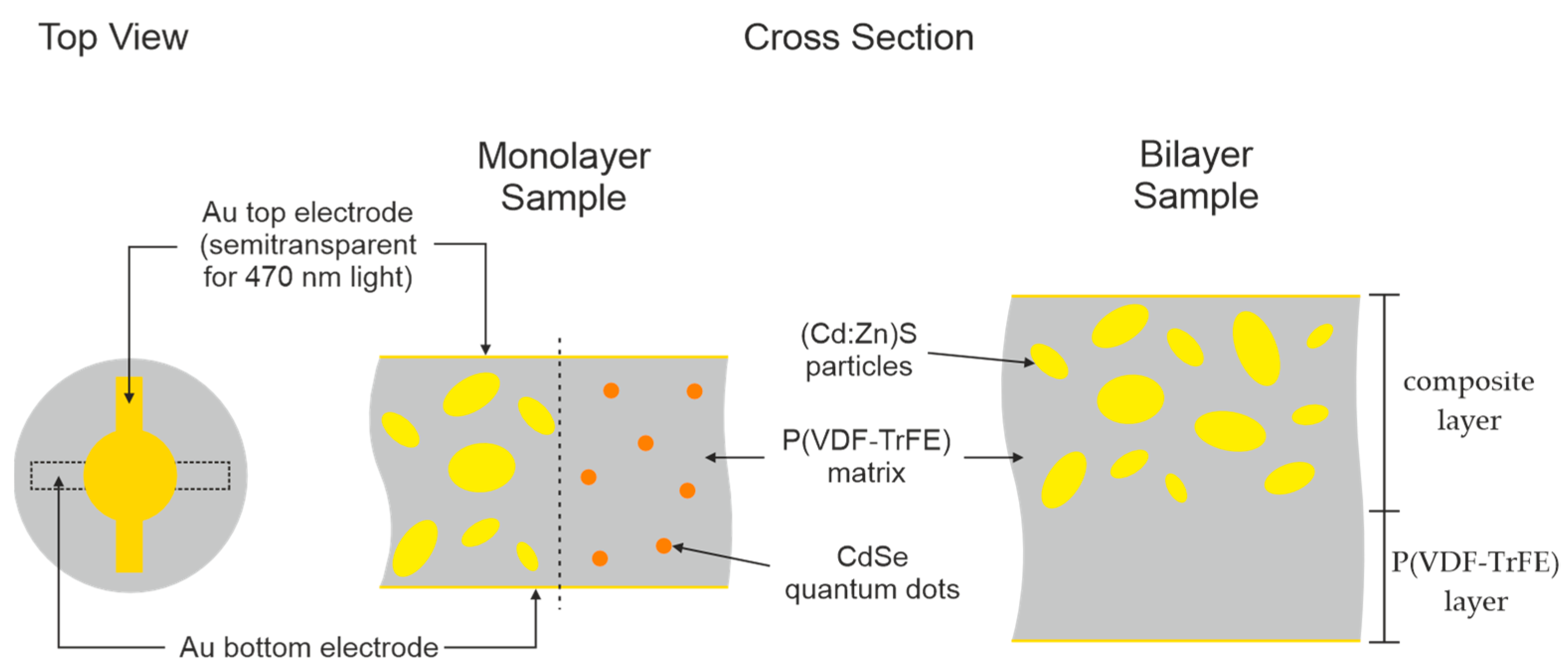 Polymers 16 00929 g001