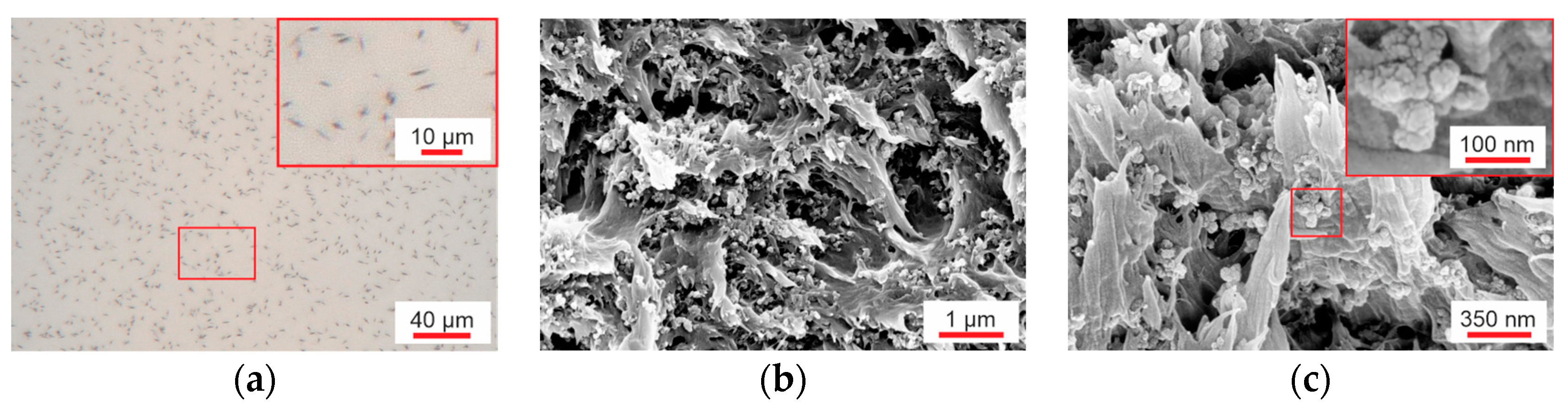Polymers 16 00929 g004