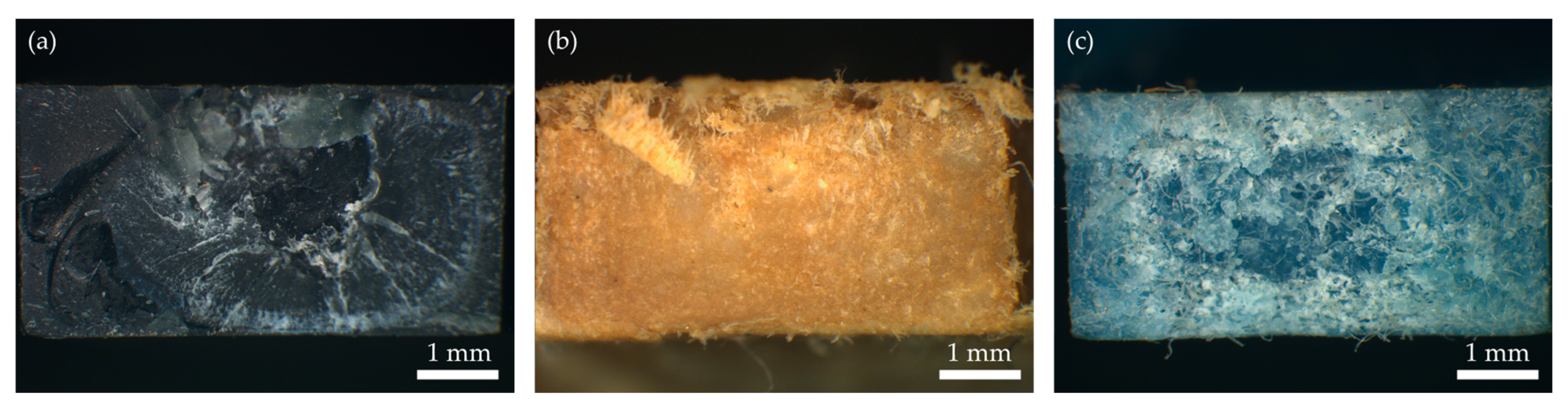 Polymers 16 00935 g006