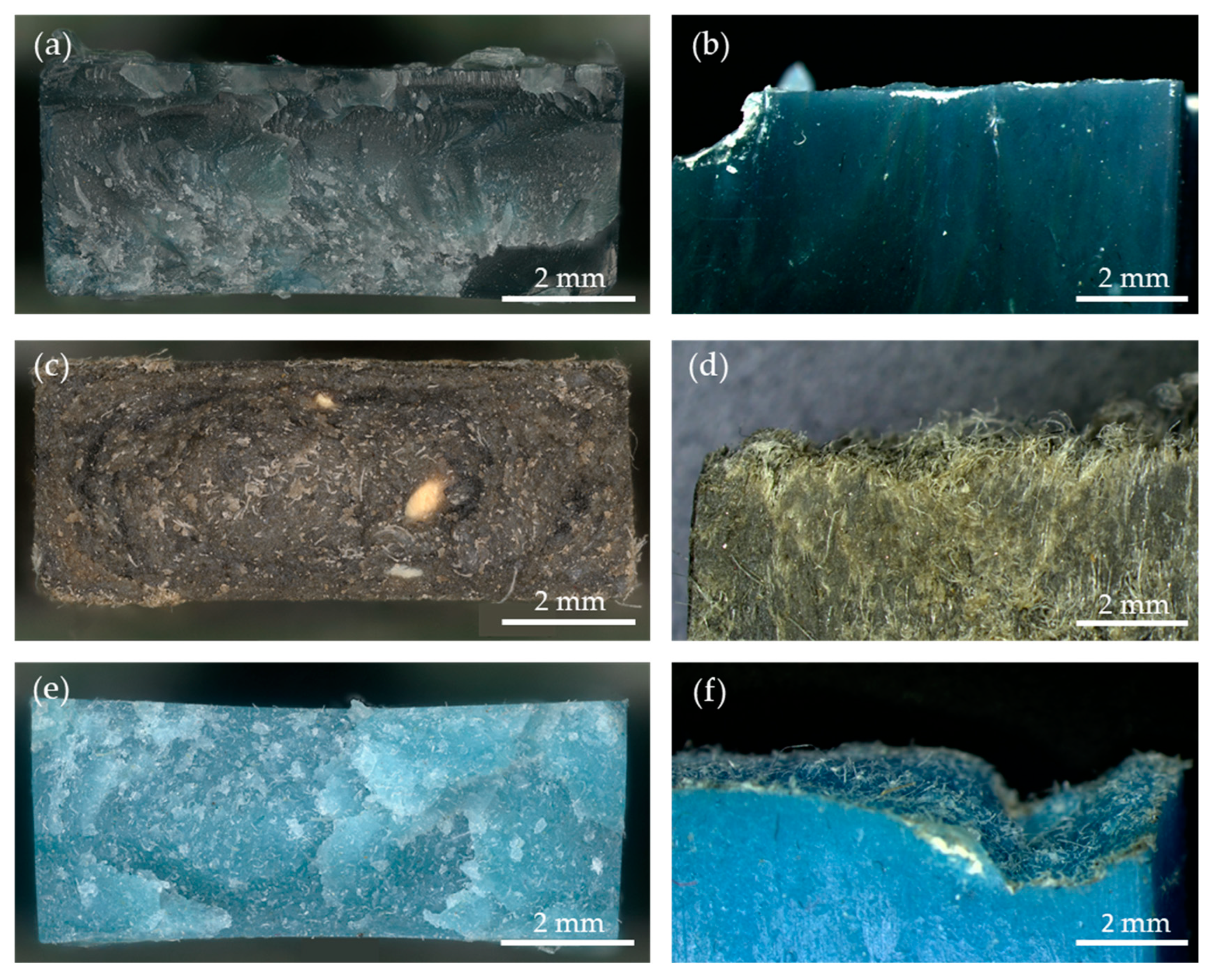 Polymers 16 00935 g014