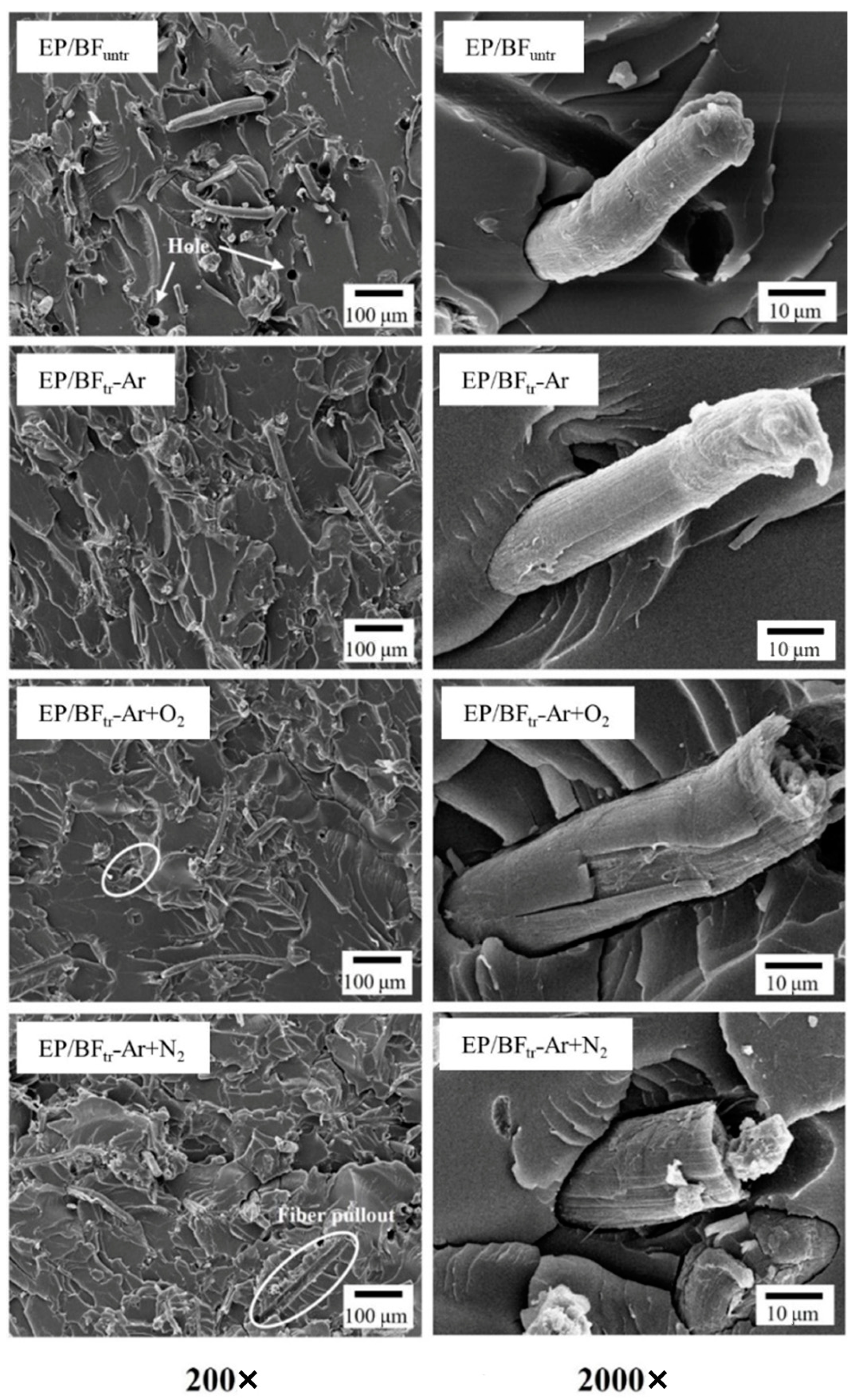 Polymers 16 00938 g003