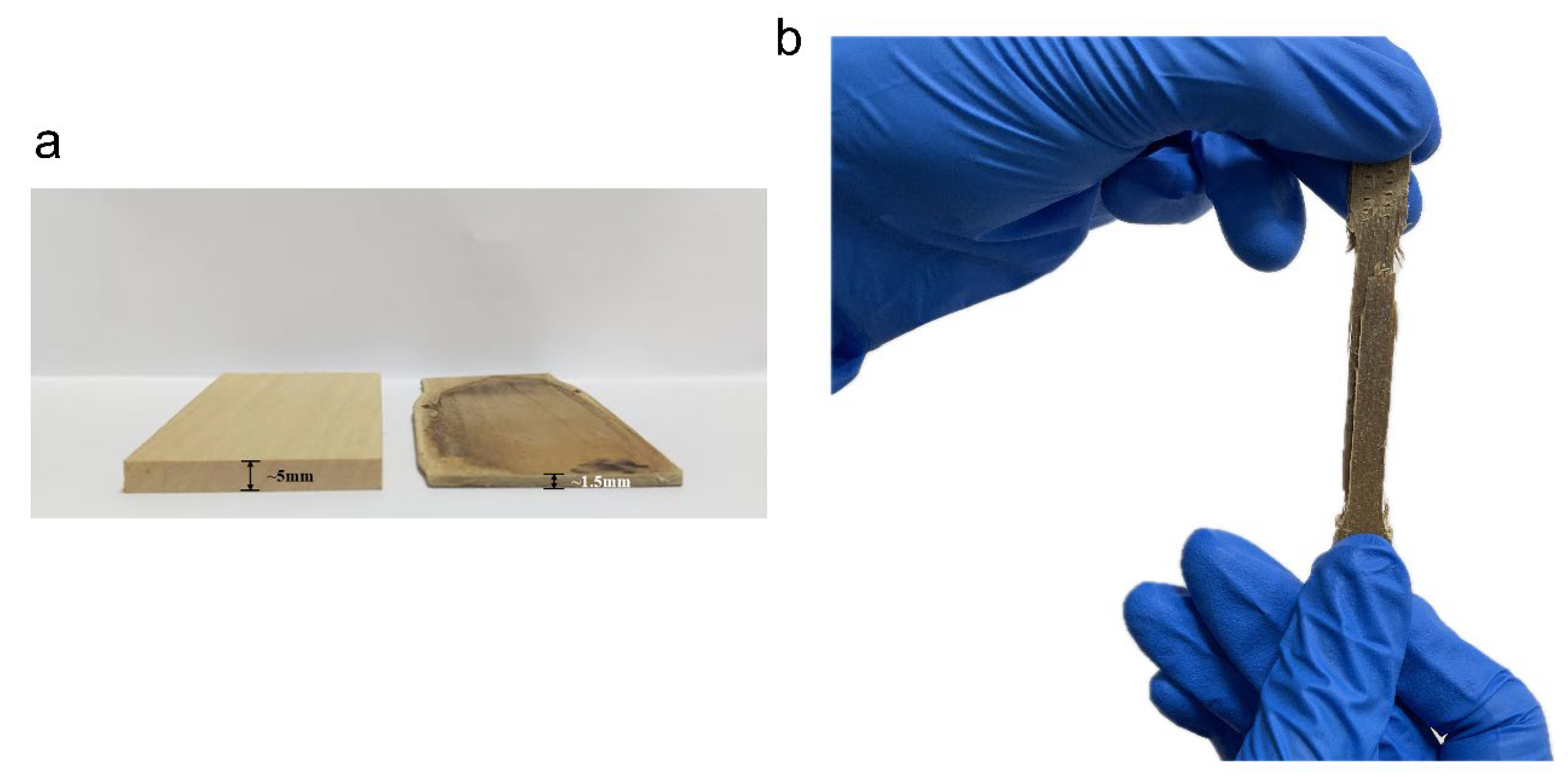 Polymers 16 00939 g007