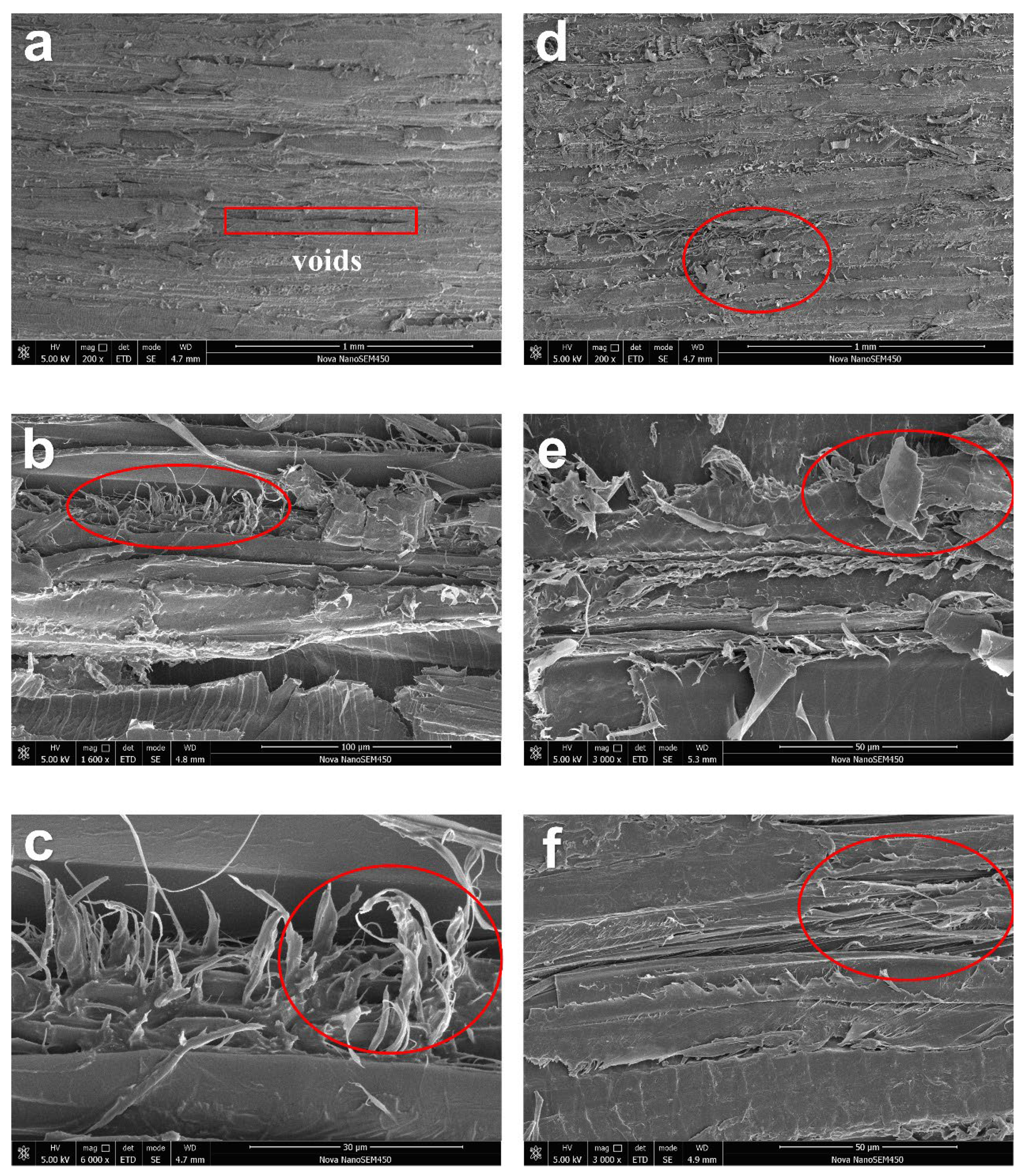Polymers 16 00939 g008