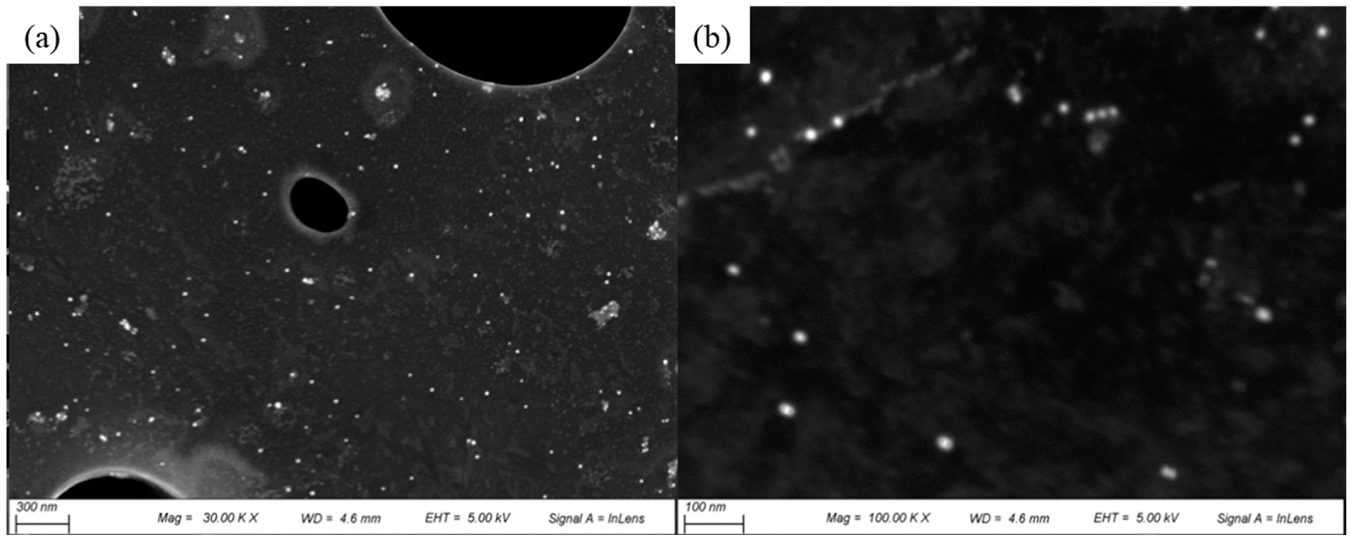 Polymers 16 00941 g002