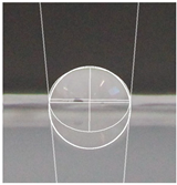 Polymers 16 00941 i002