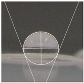 Polymers 16 00941 i006