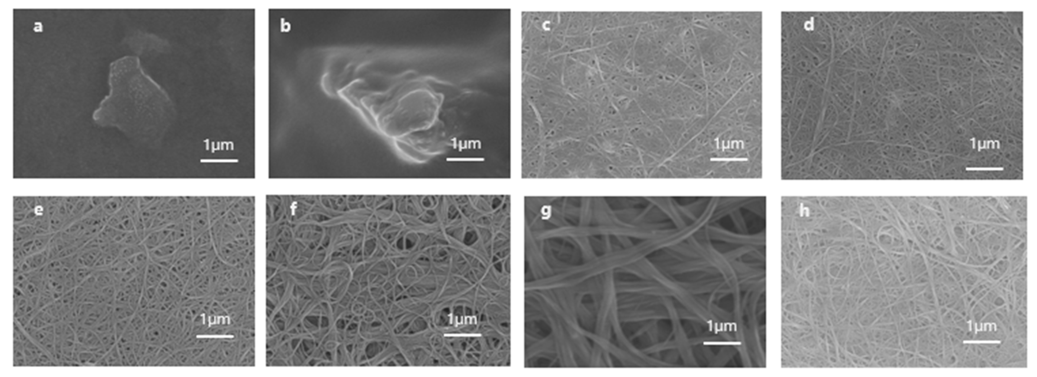 Polymers 16 00943 g004