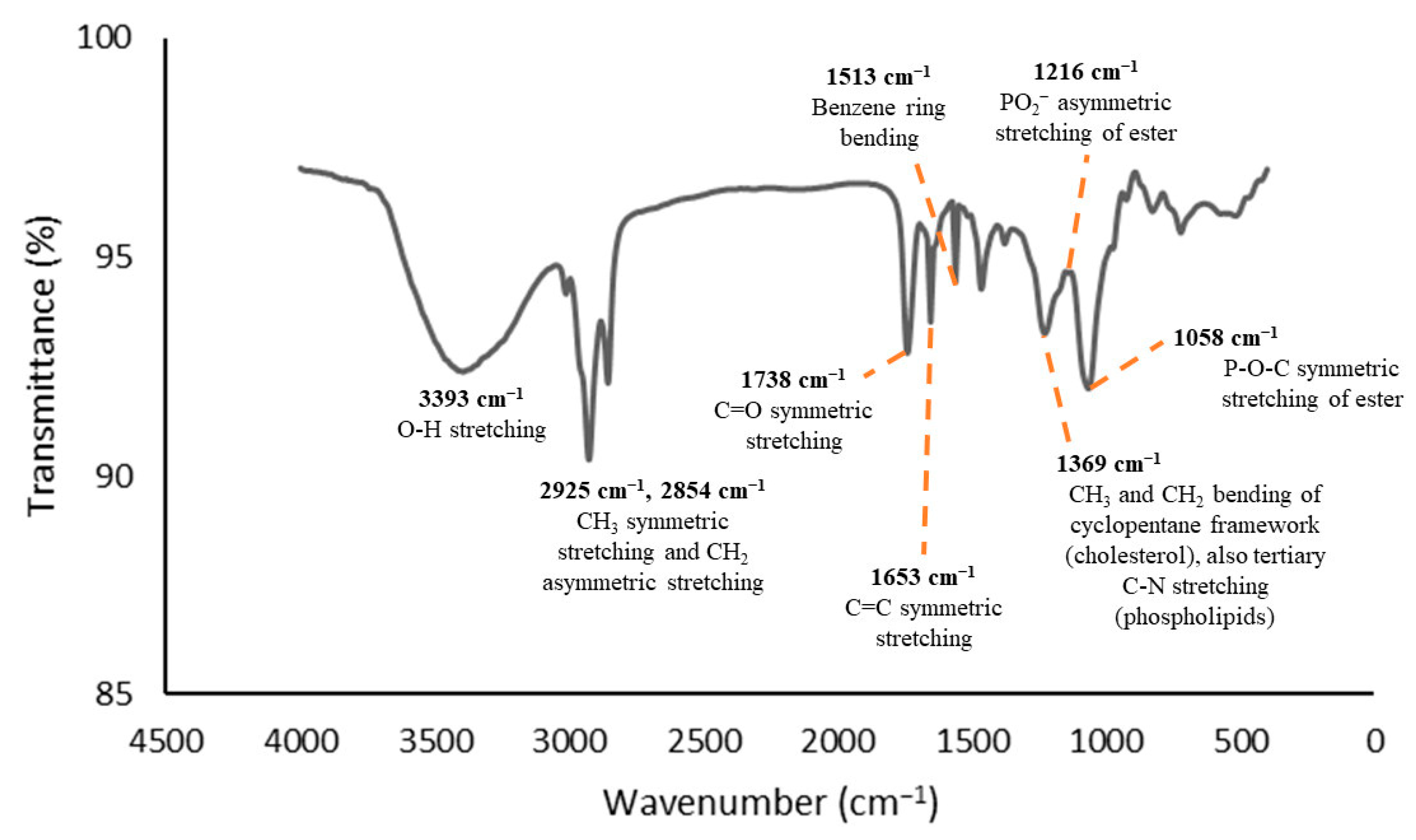 Polymers 16 00944 g002