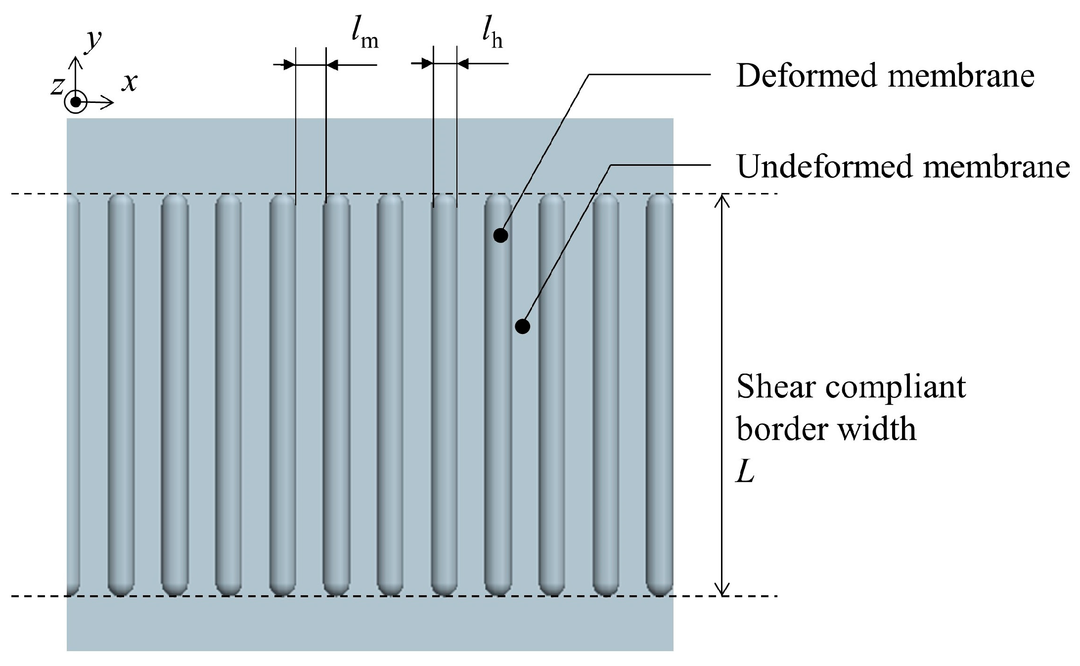 Polymers 16 00951 g002