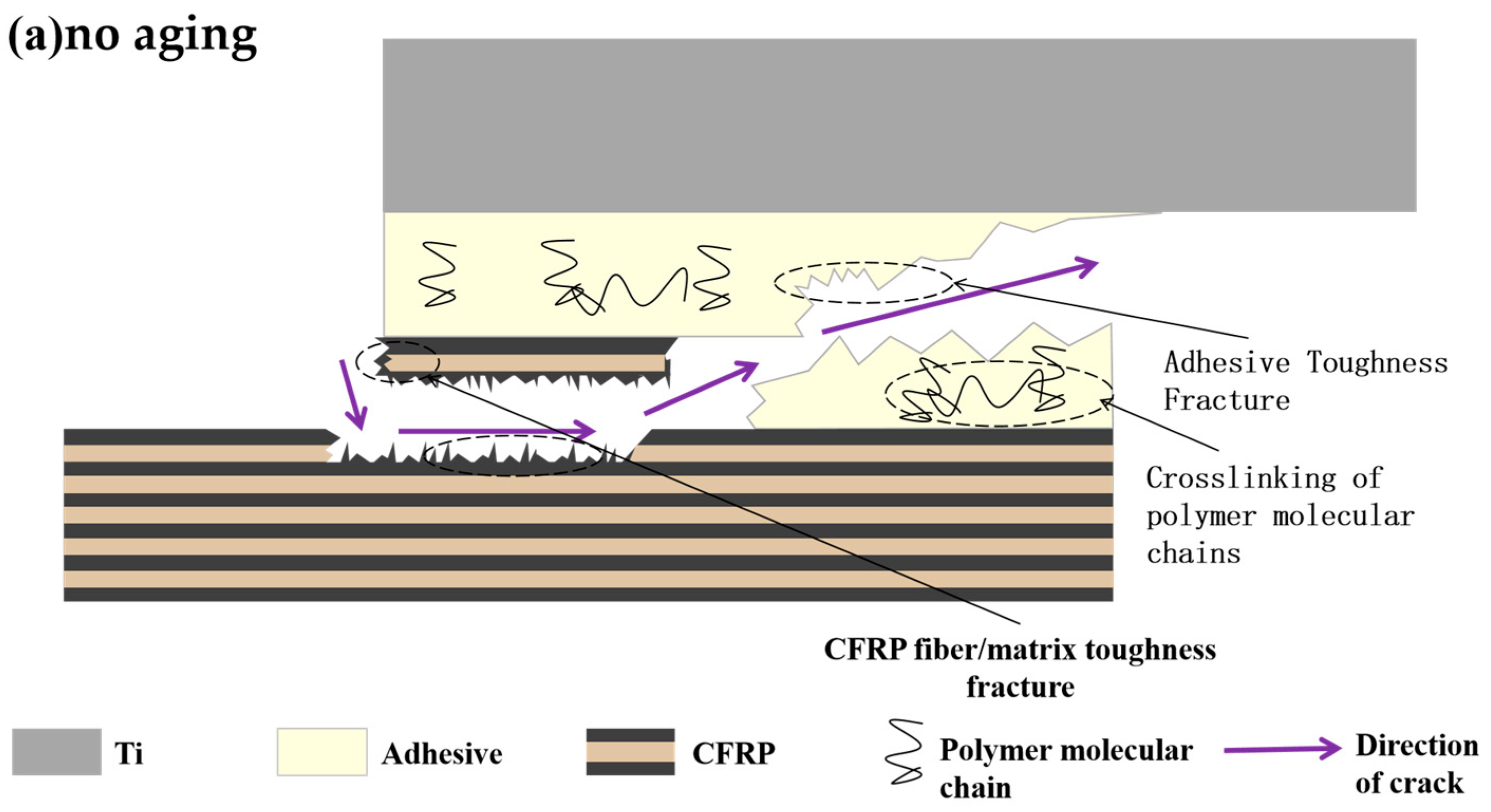 Polymers 16 00952 g011a